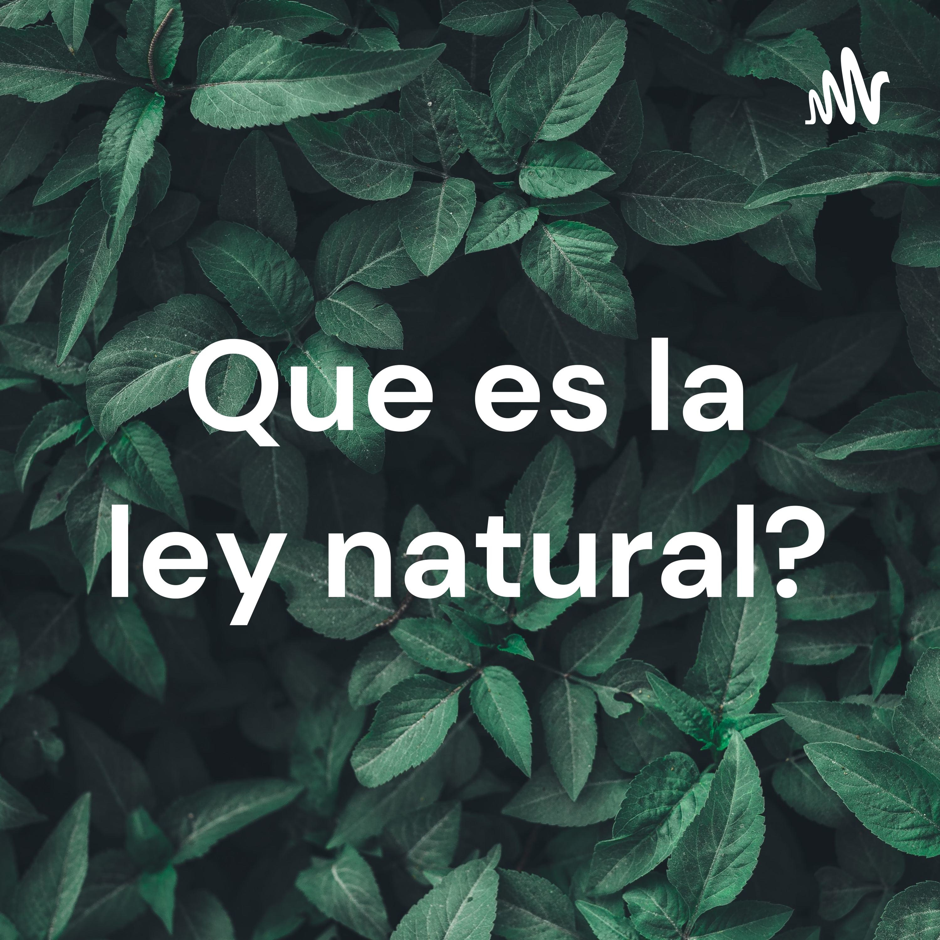 Que es la ley natural?