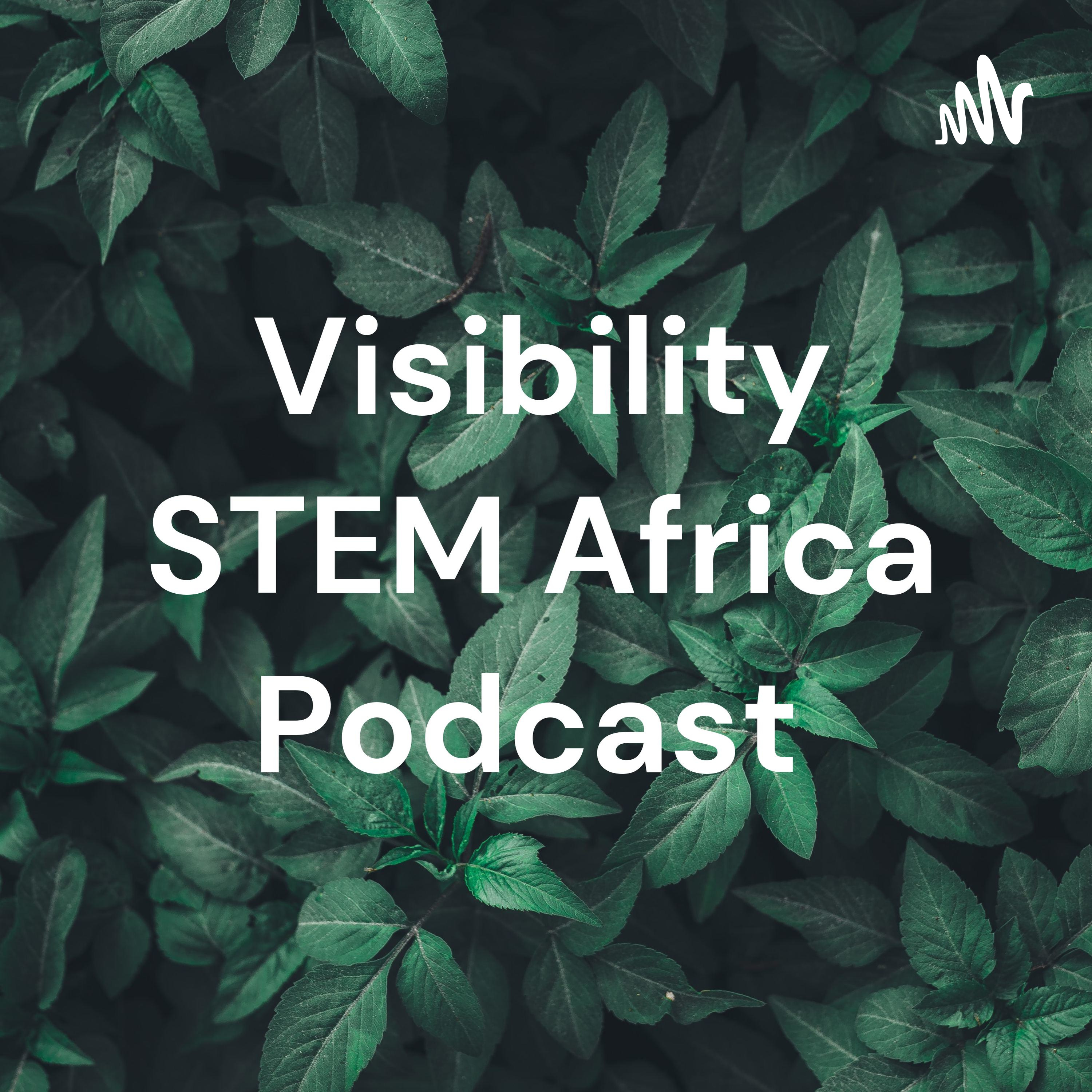 Visibility STEM Africa Podcast