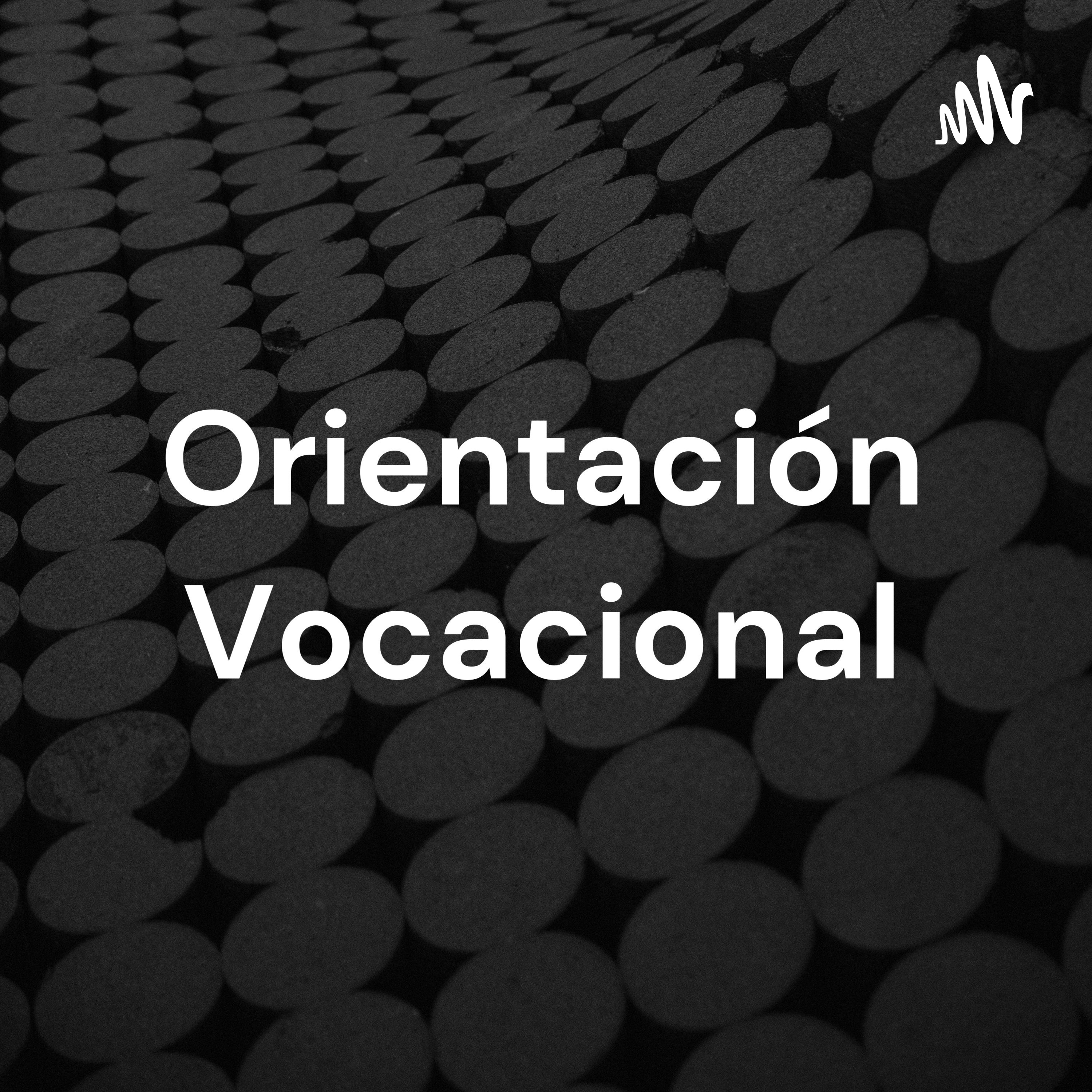 Orientación Vocacional - 2913 y 2920