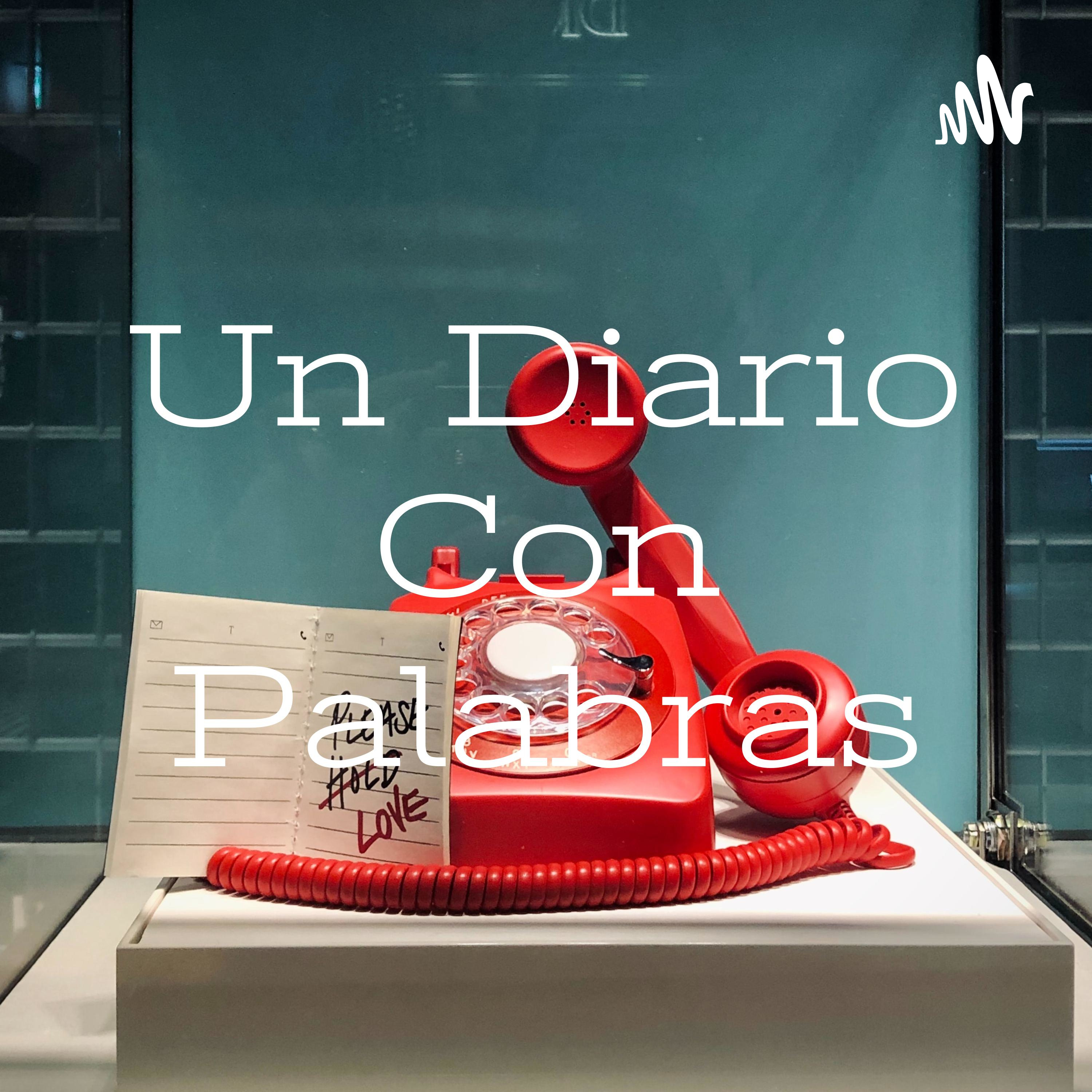 Un Diario Con Palabras