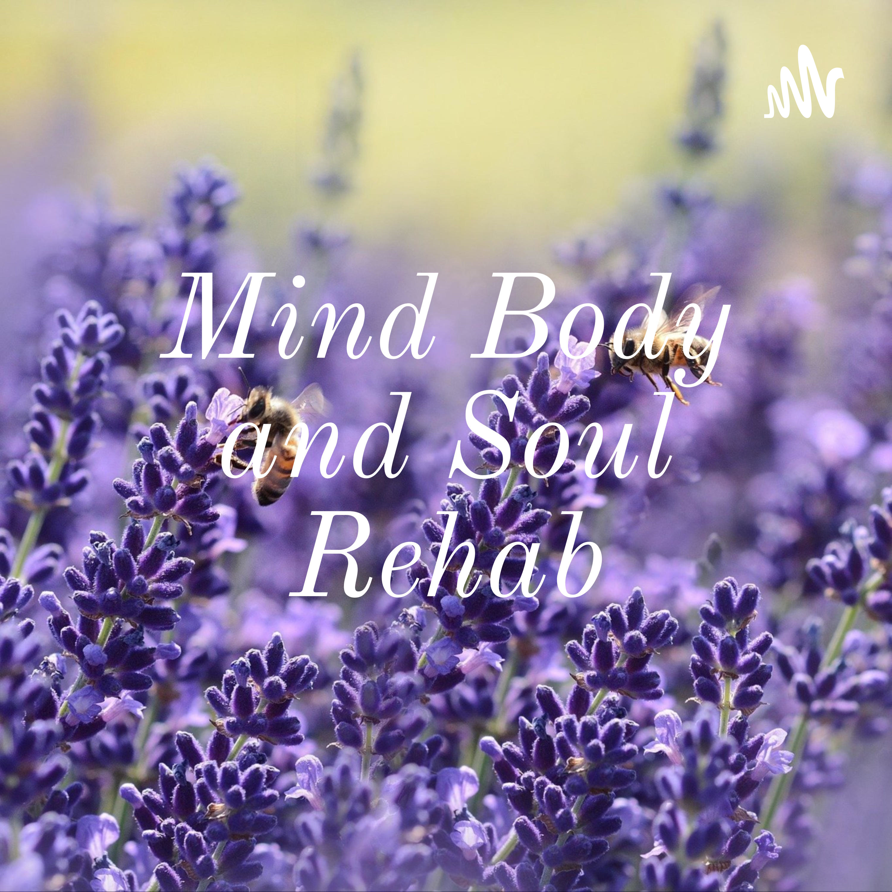 Mind Body and Soul Rehab the journal..