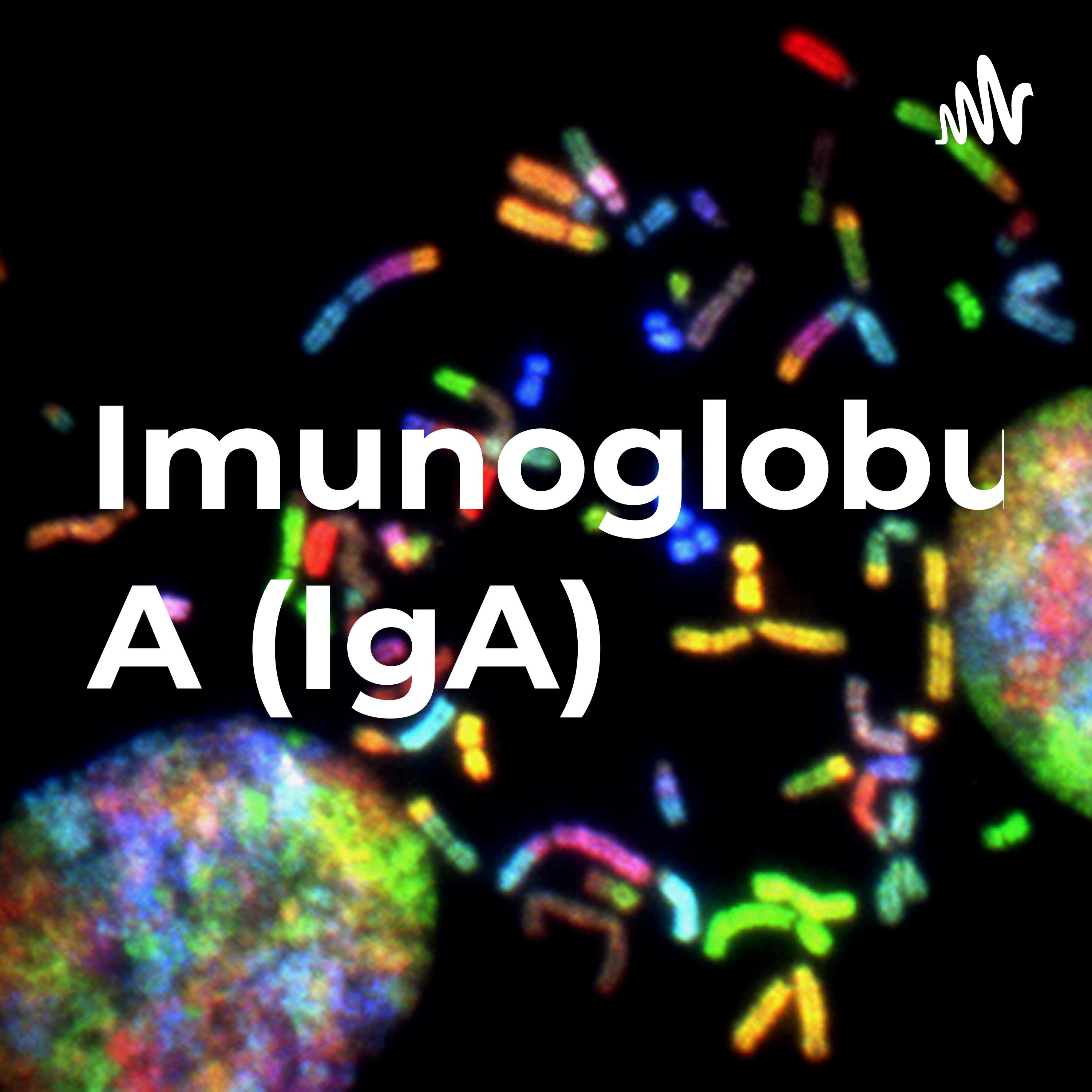 Imunoglobulina A (IgA) cover art
