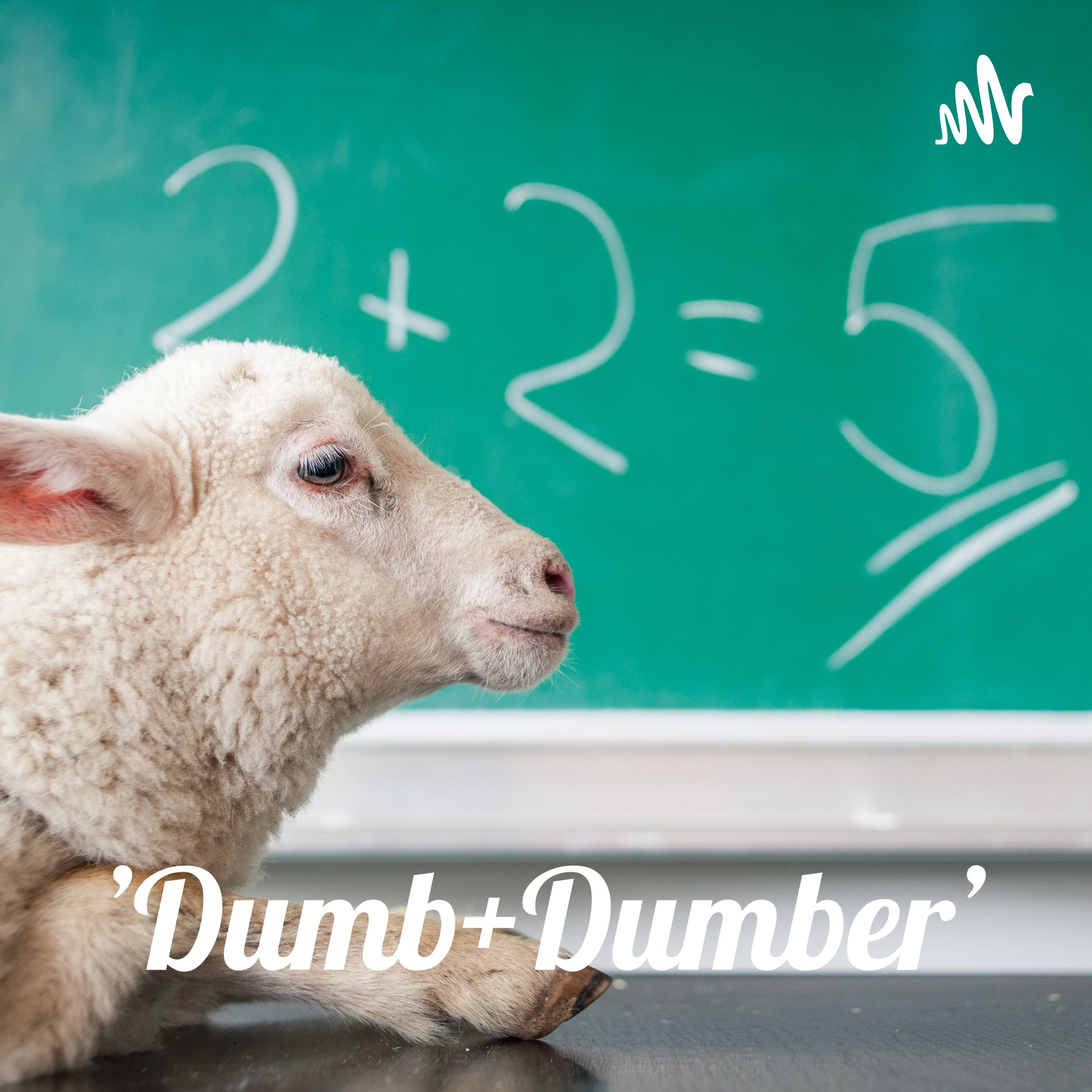 Dumb+Dumber: Celebrity Drama