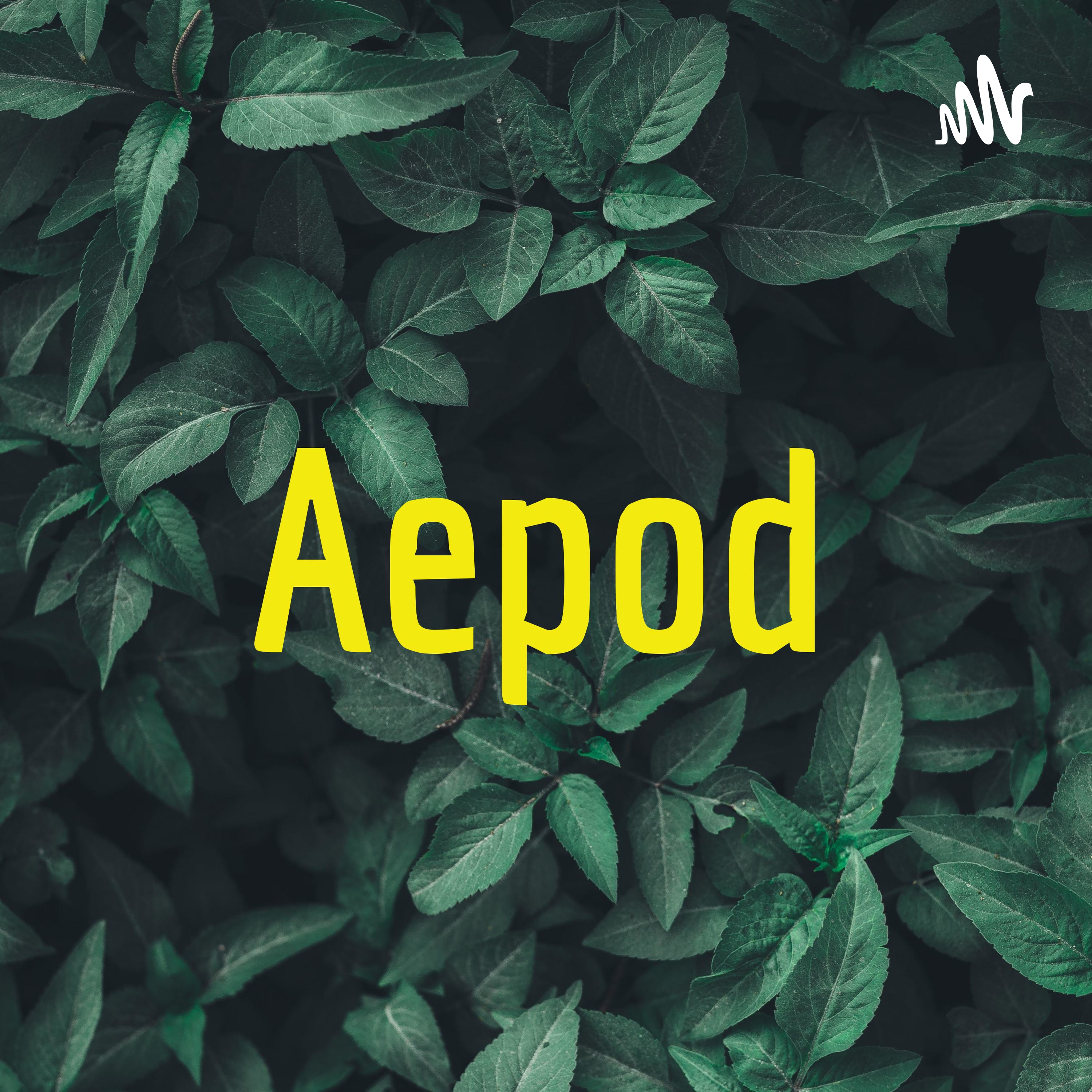 Aepod