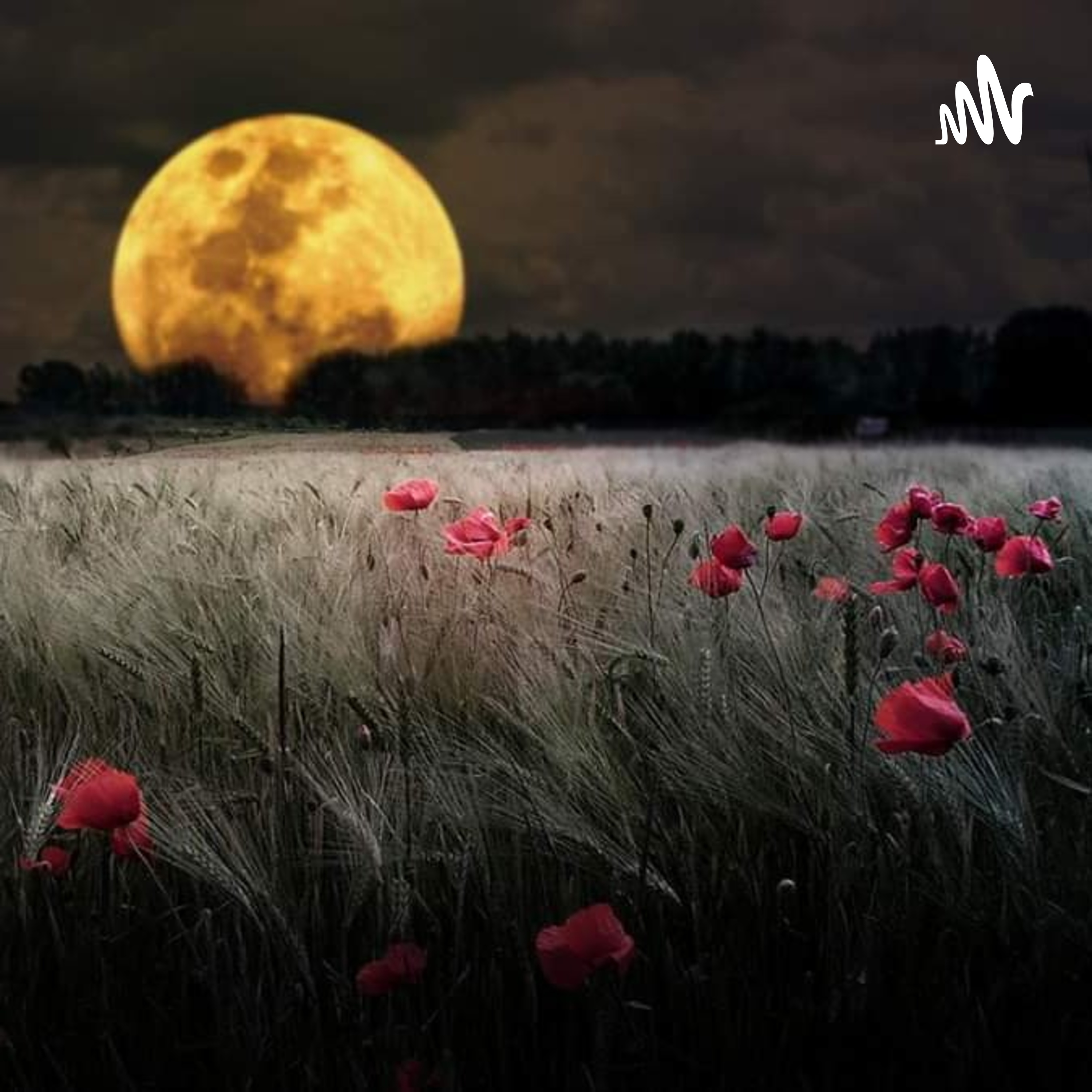 Poveste în Dar cover art