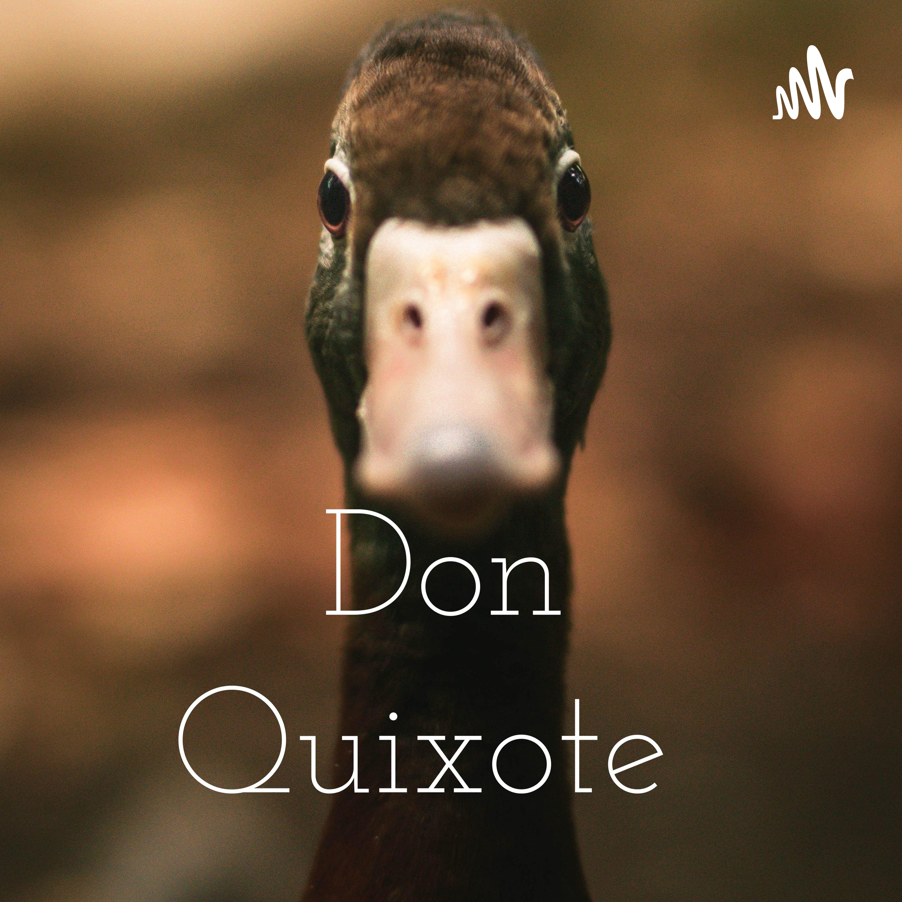 Don Quixote 