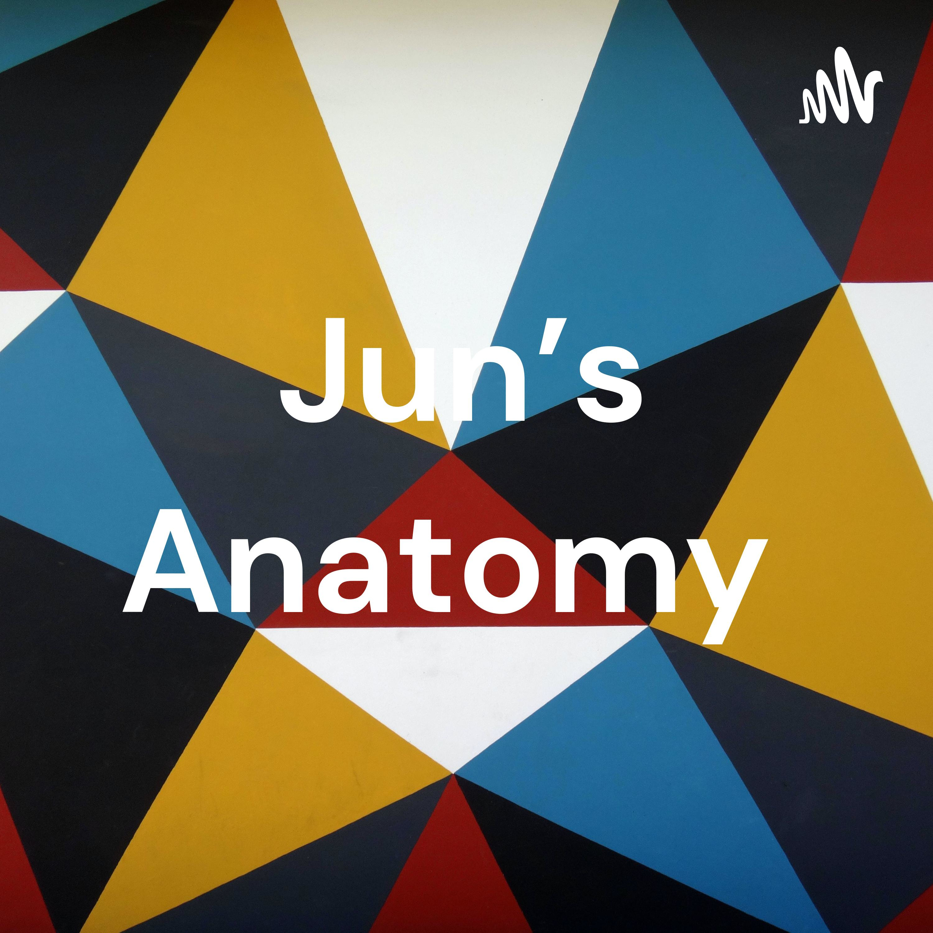 Jun's Anatomy 