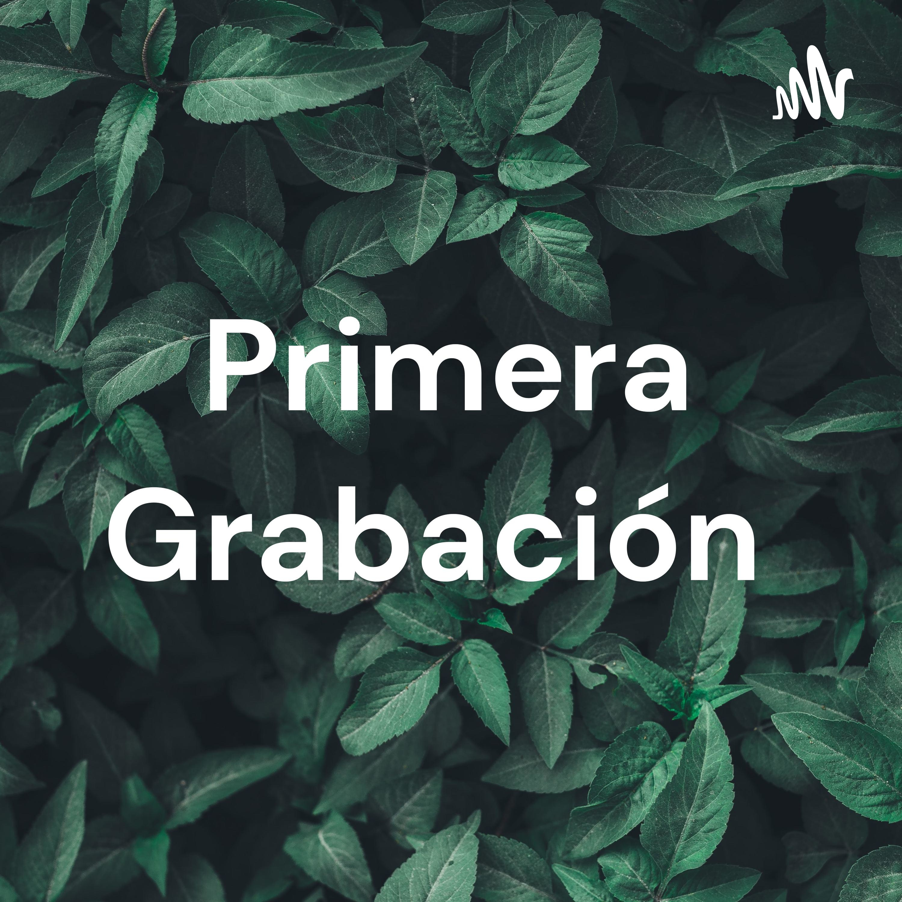Primera grabacion