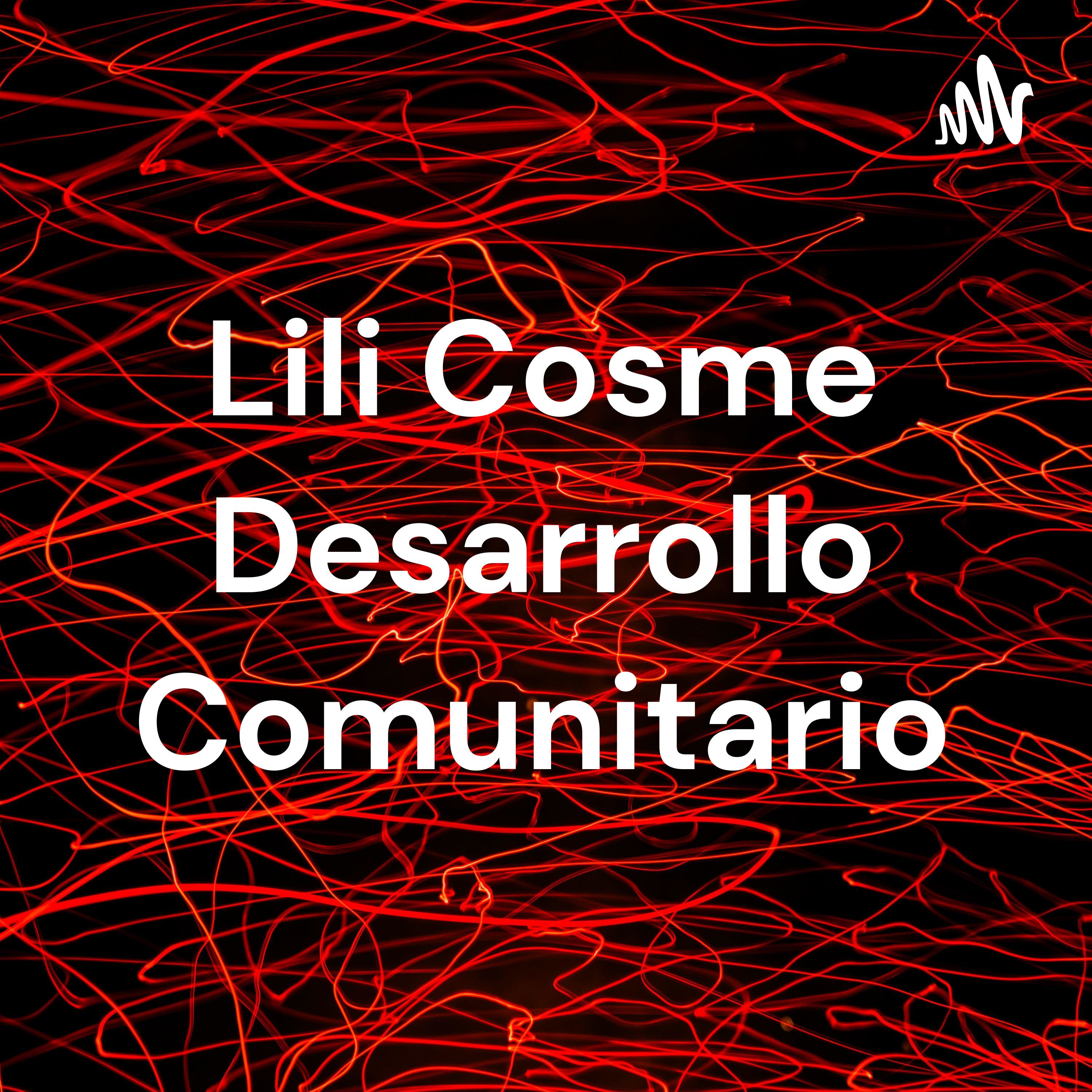 Lili Cosme Desarrollo Comunitario