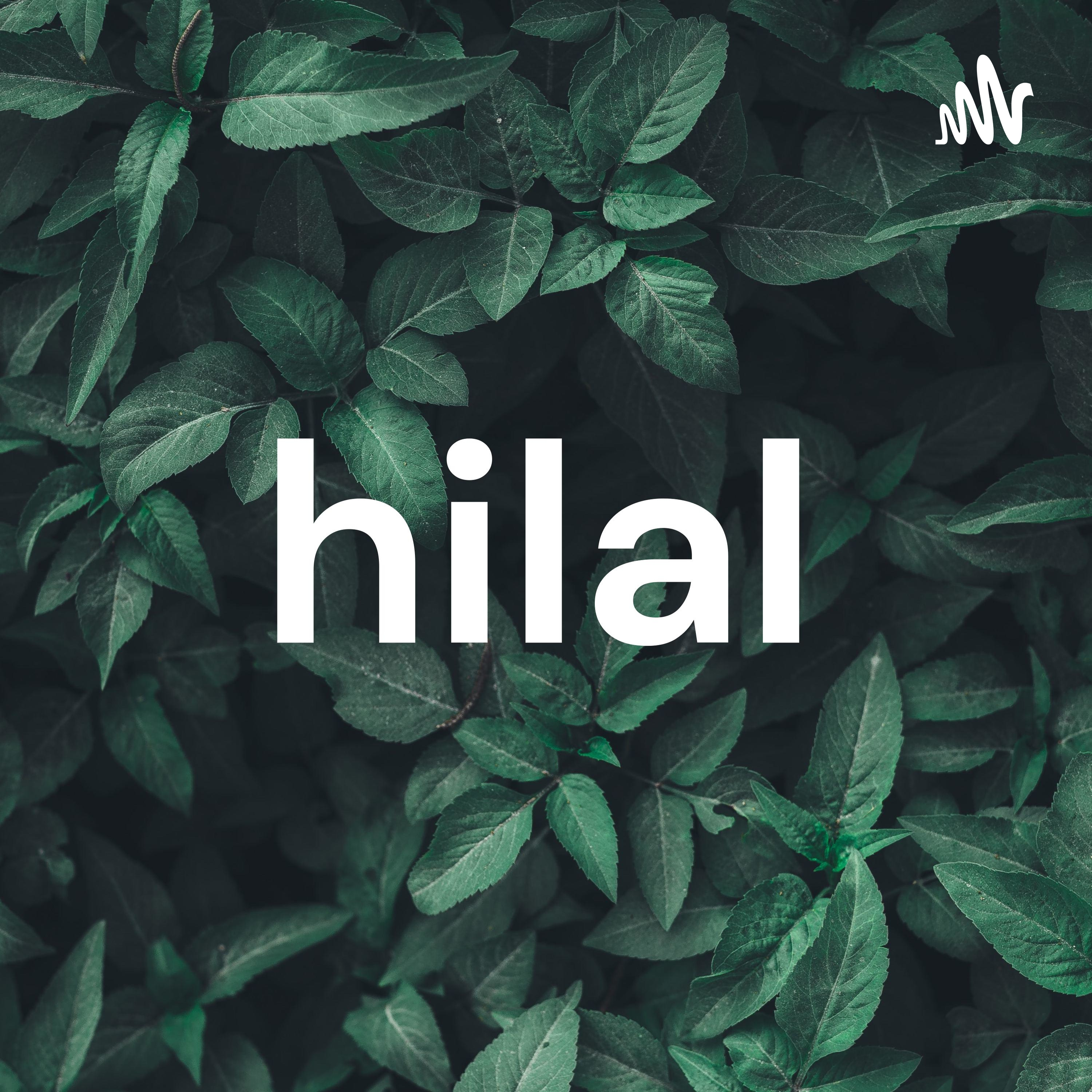 hilal