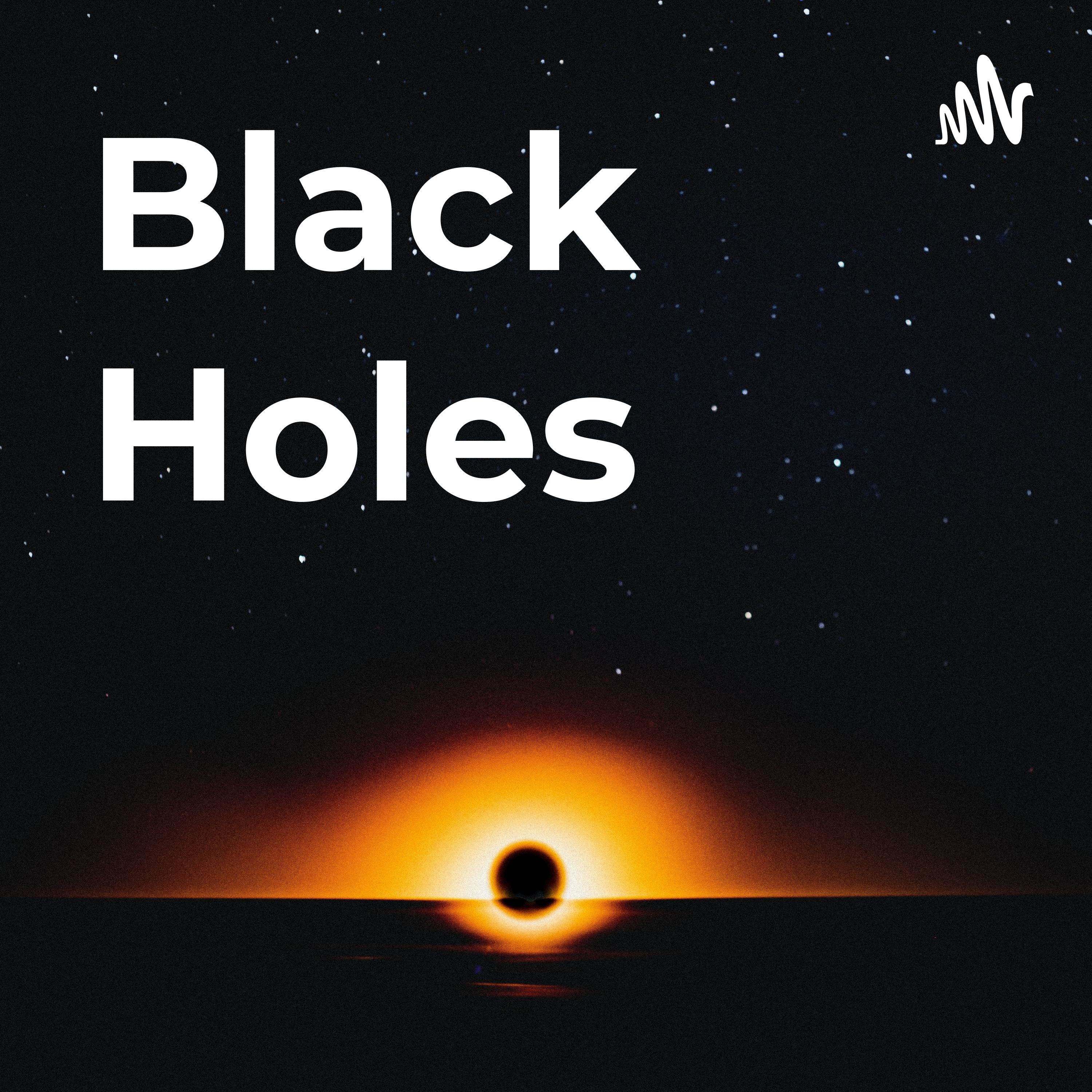 Black Holes