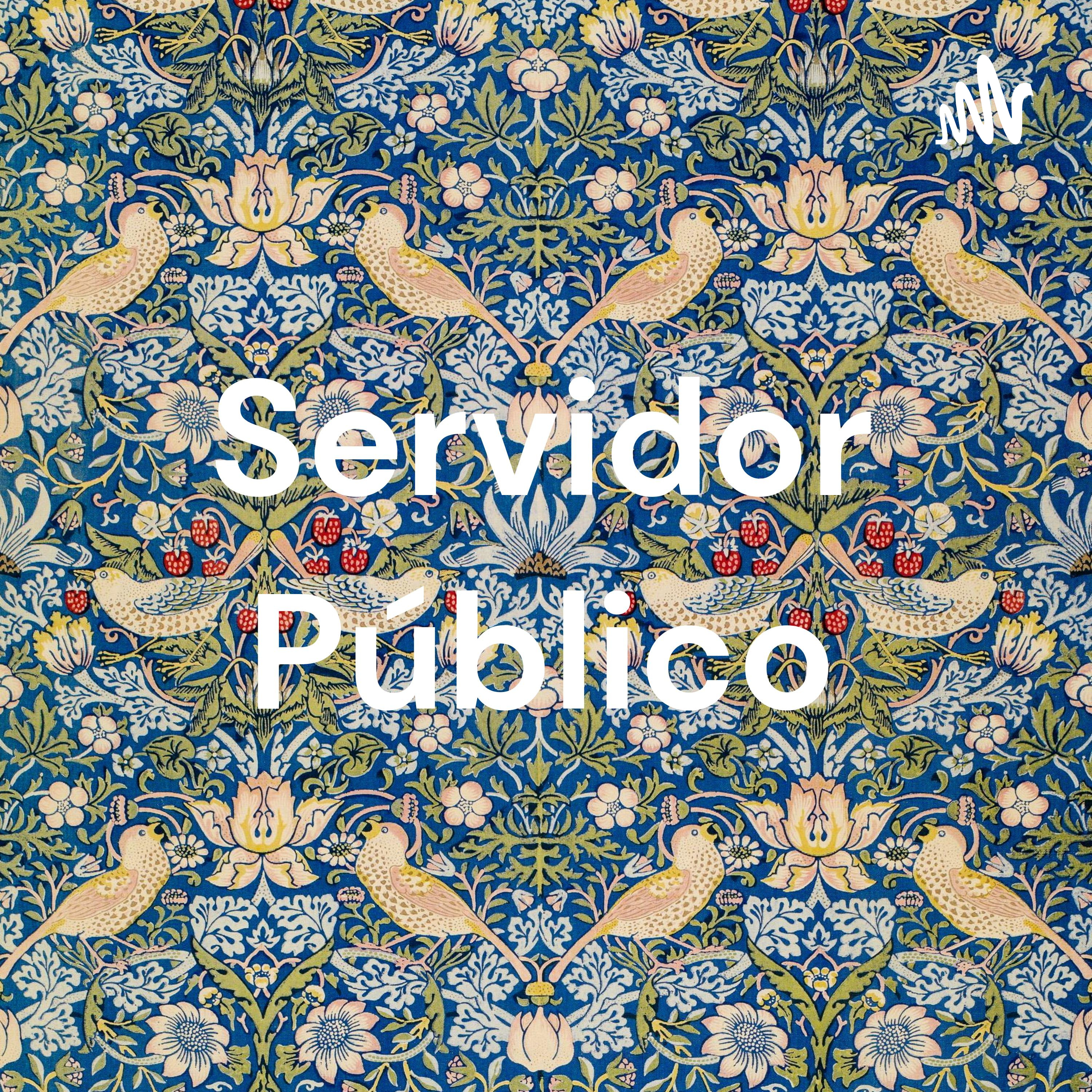 Servidor Público cover art