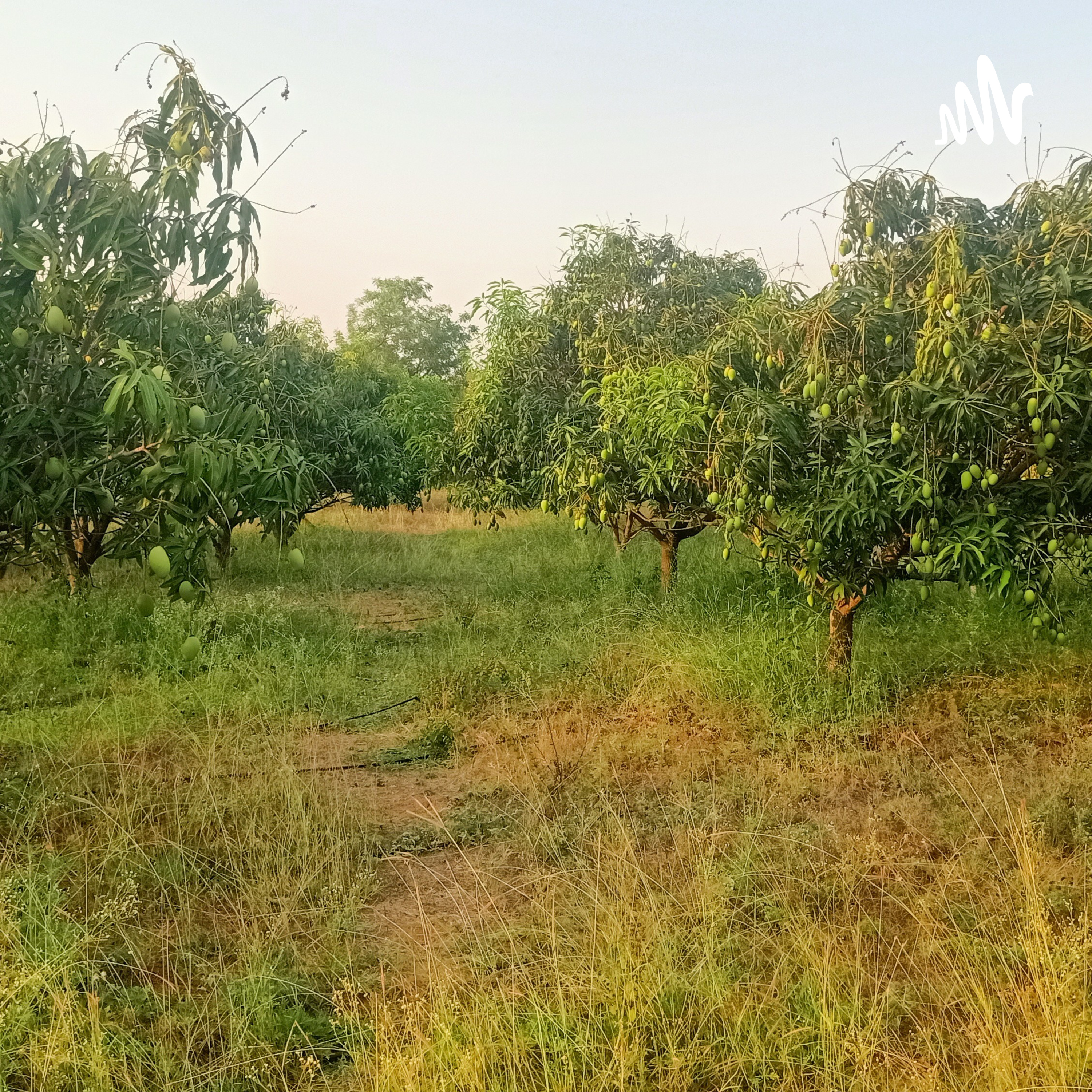 R.O.S. Corporate Realty Services cover art