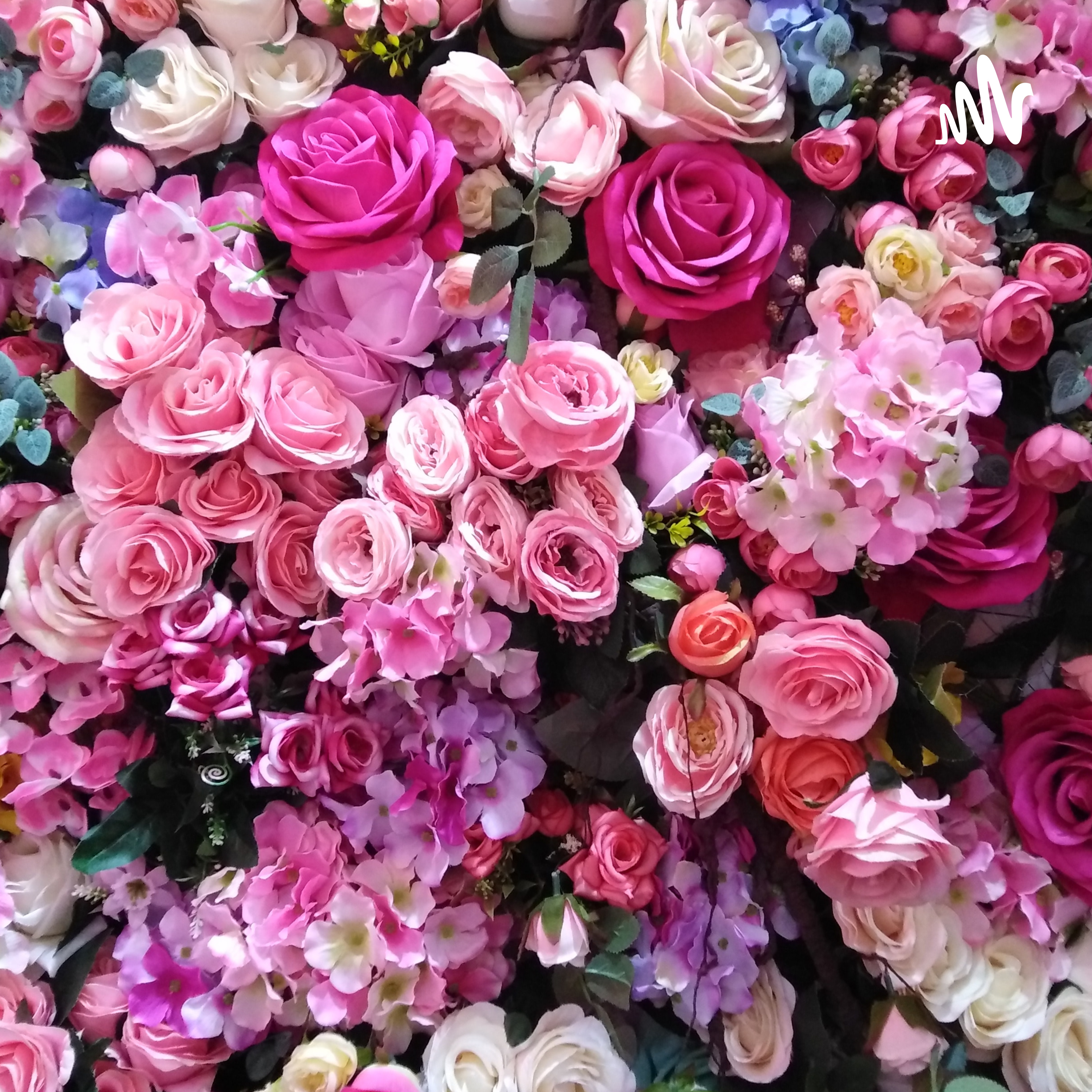 El BUFETE Borja Martínez E.