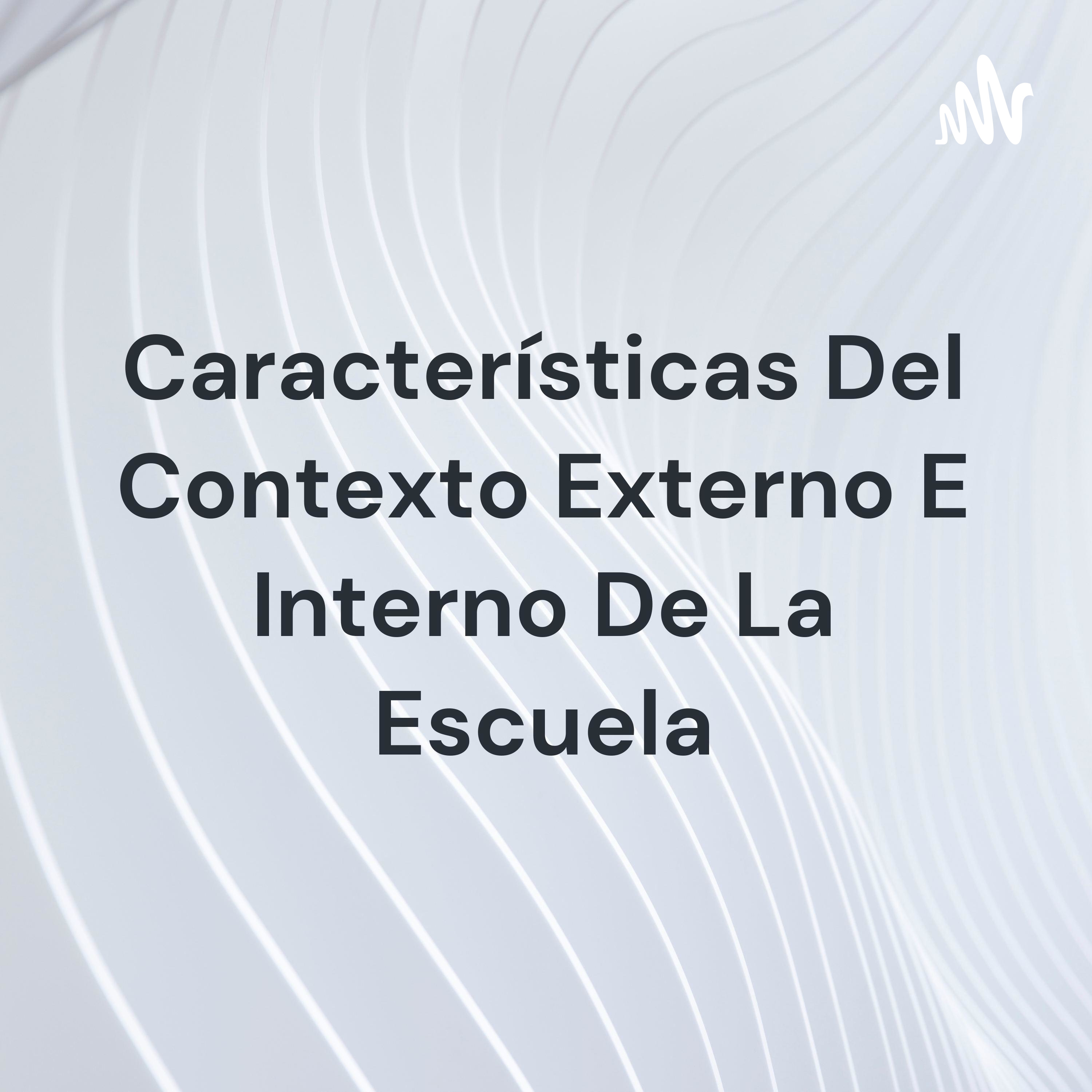 Características Del Contexto Externo E Interno De La Escuela