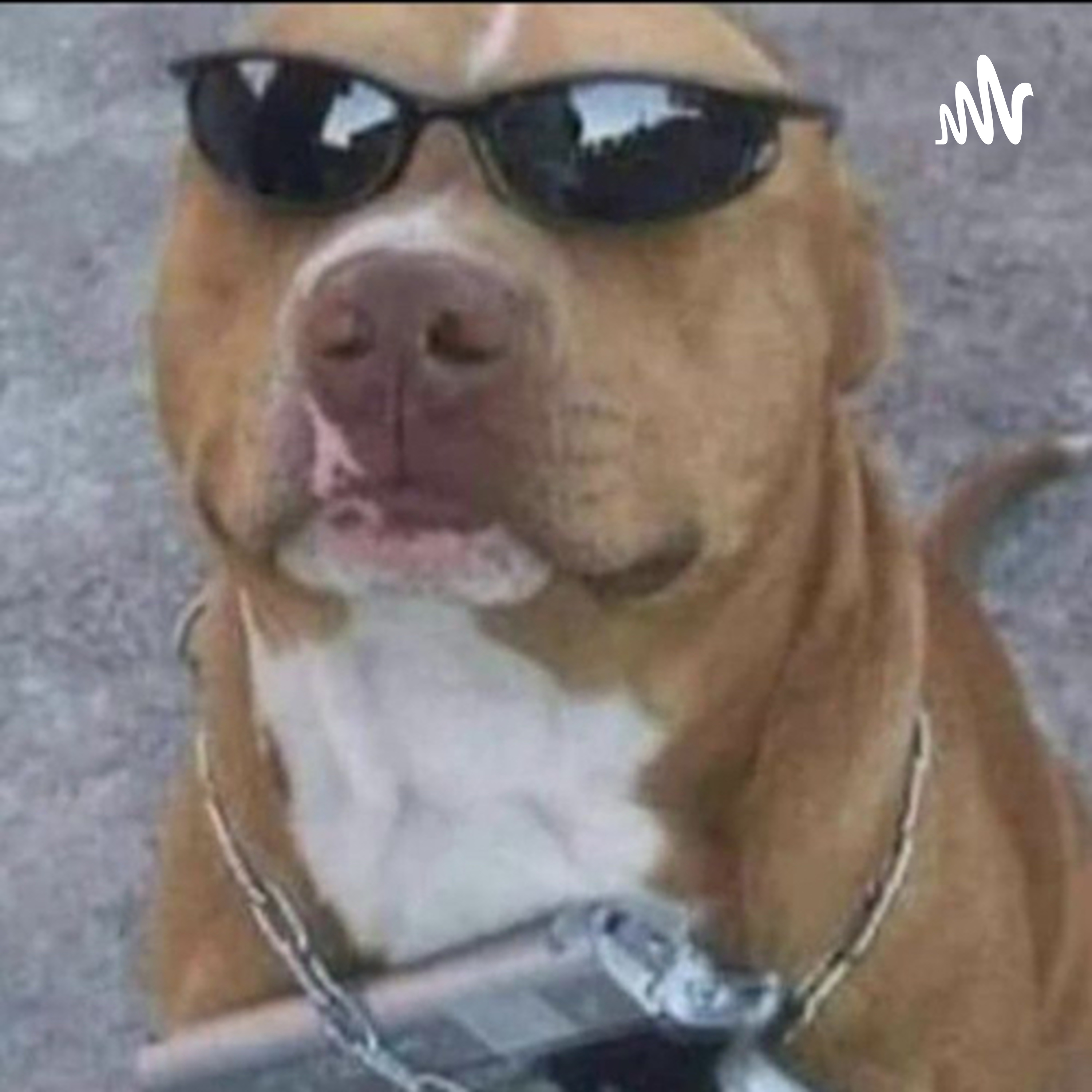 Podcast L.A cover art