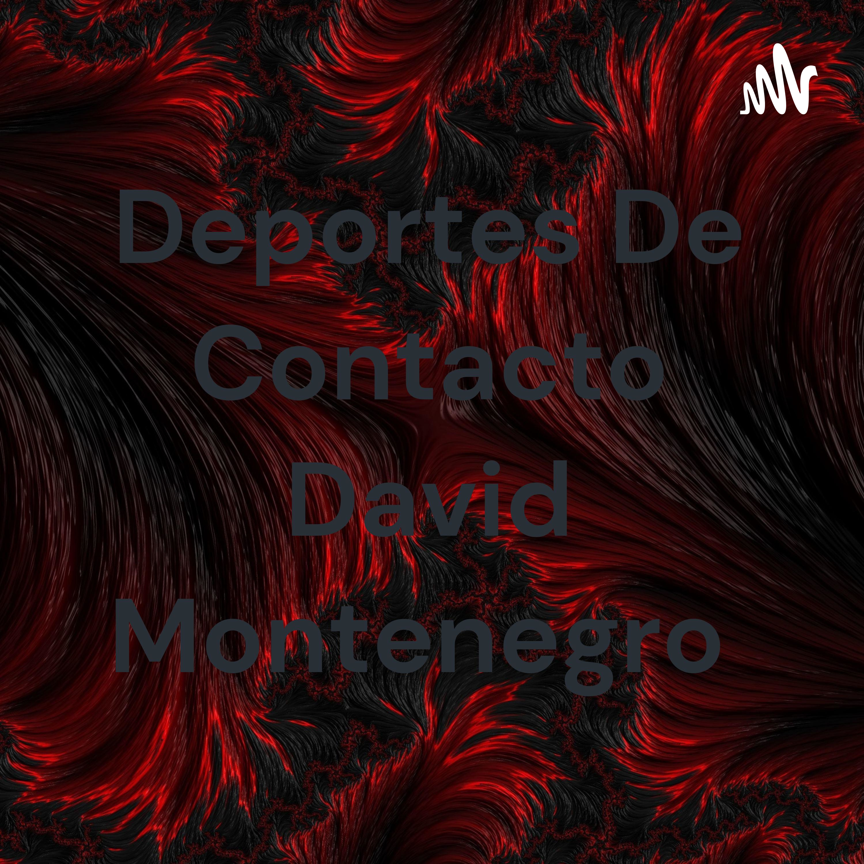 Deportes De Contacto David Montenegro 