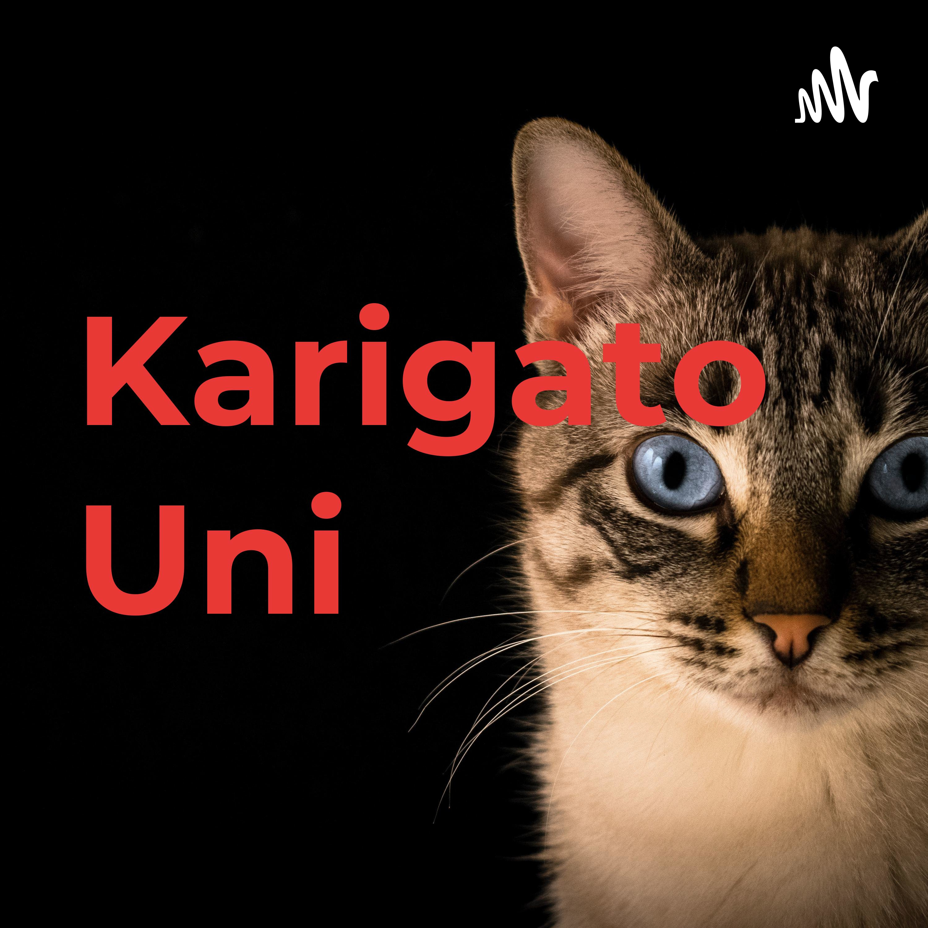 Karigato Uni podcast artwork
