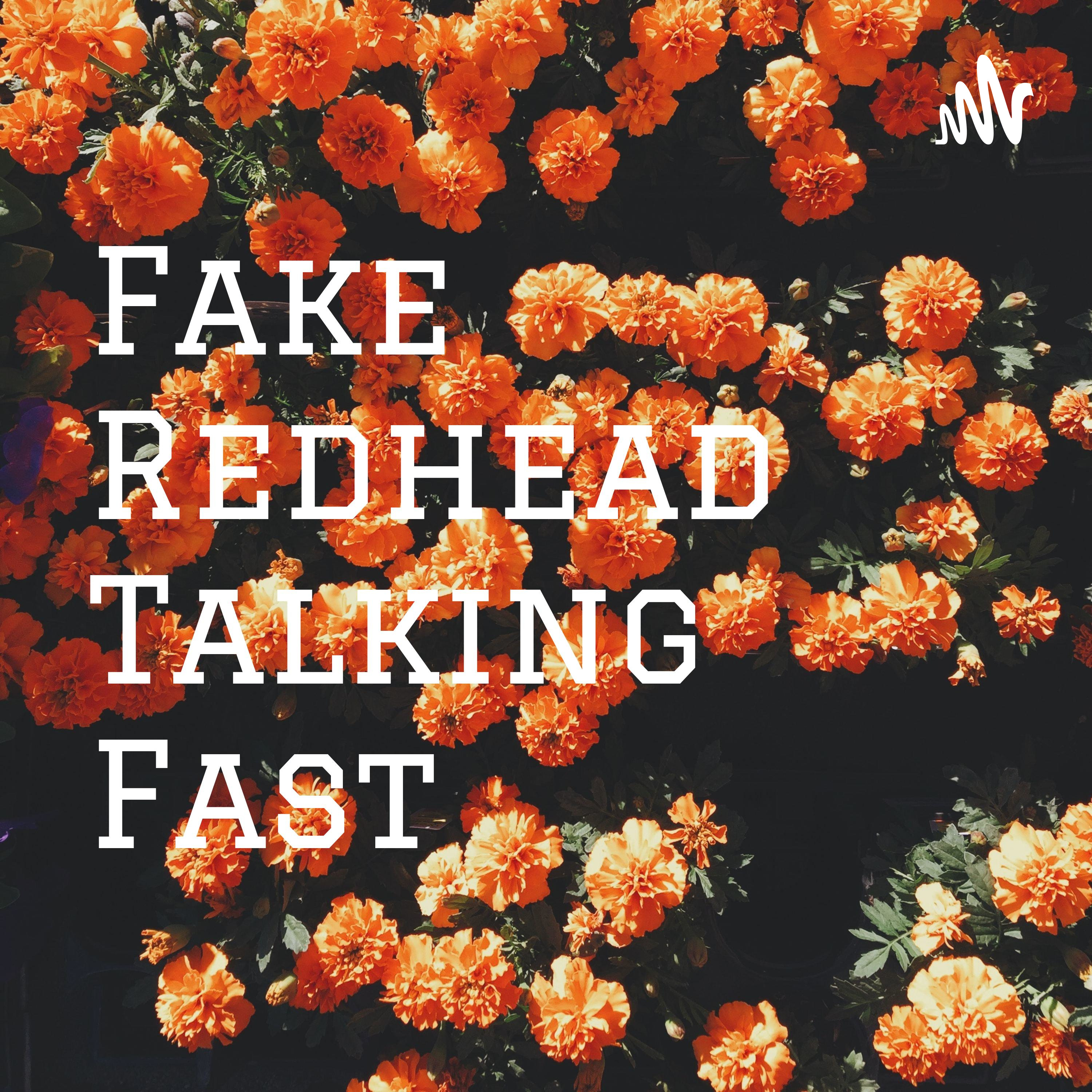 Fake Readhead Talking Fast podcast artwork