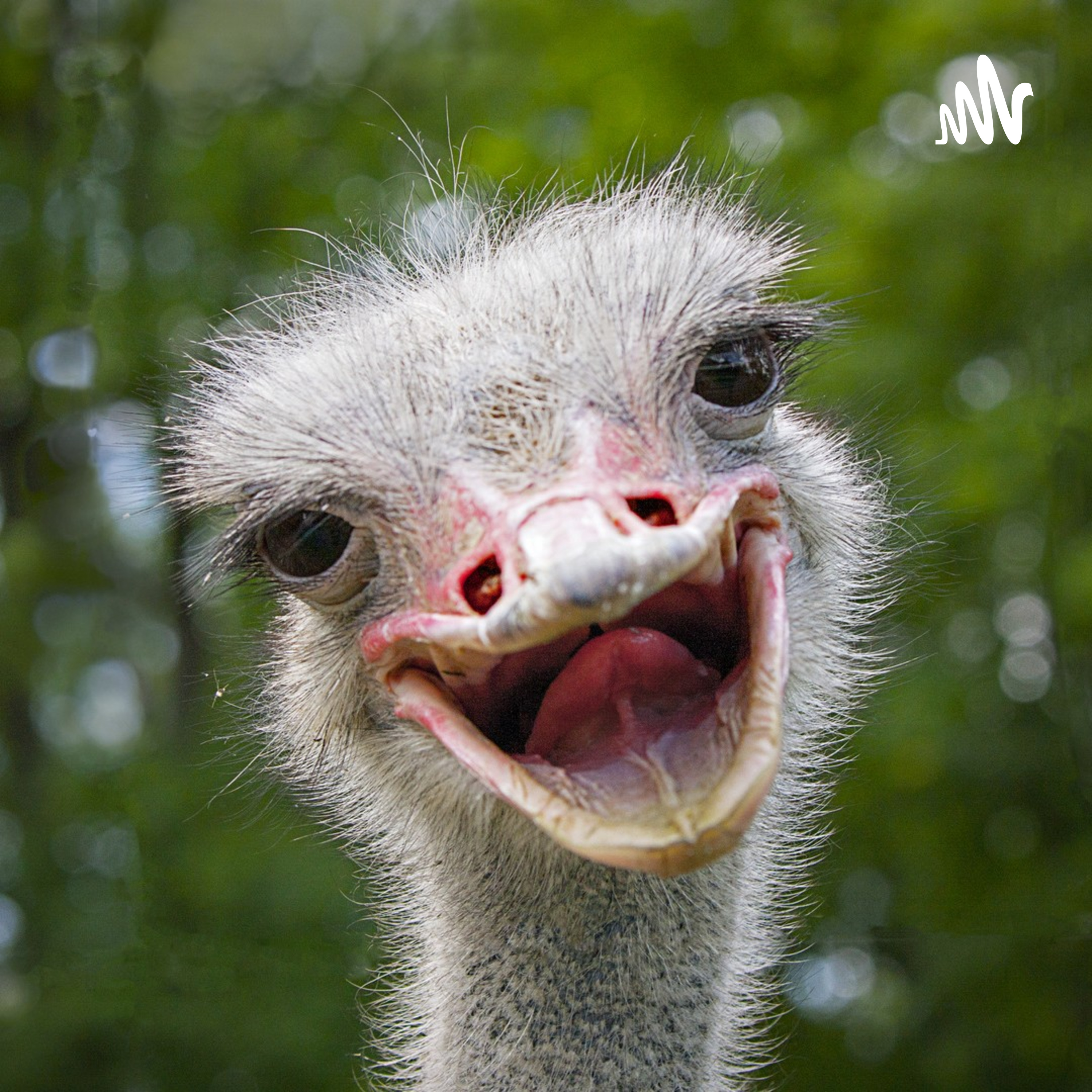 Angst Vor Straußen cover art