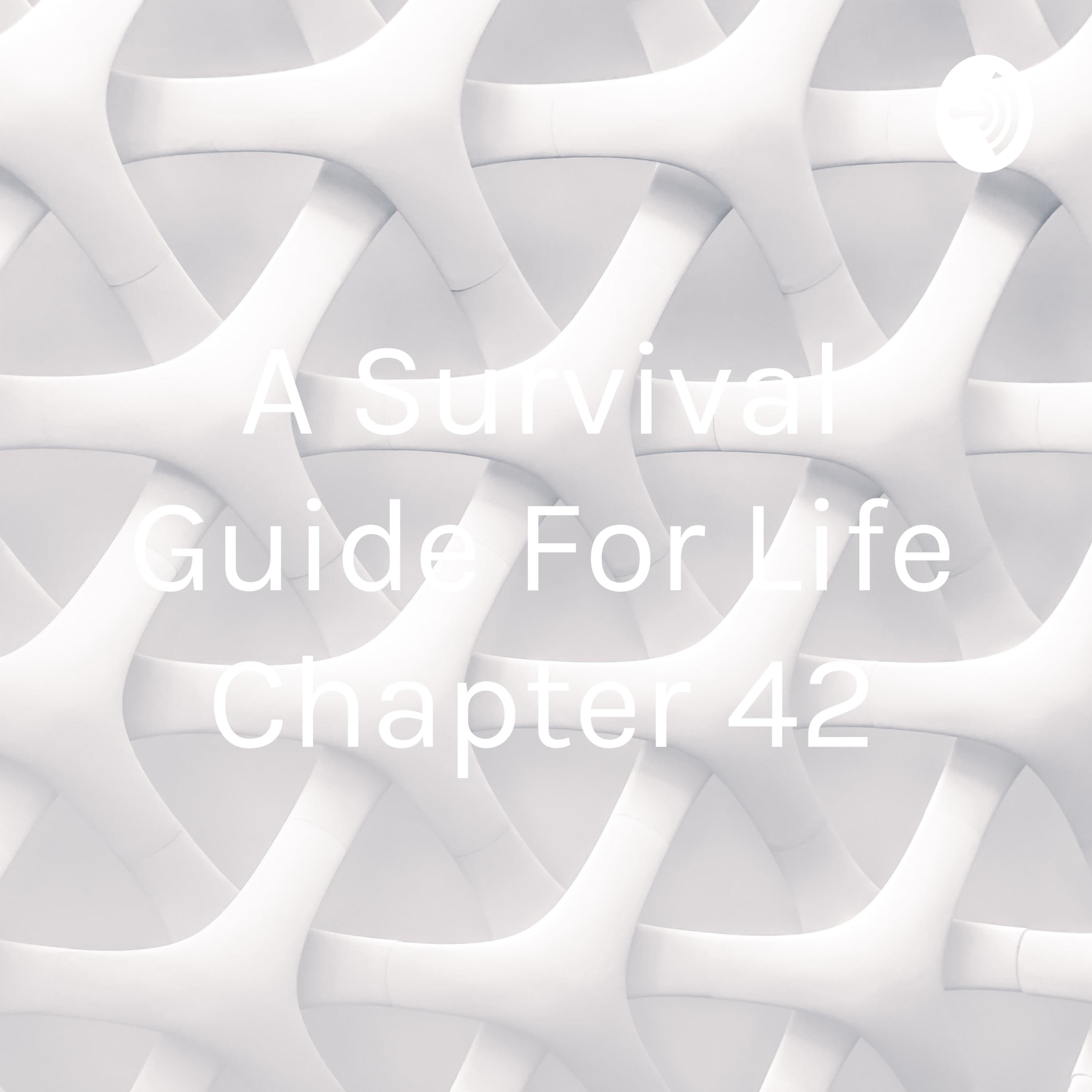 A Survival Guide For Life Chapter 42