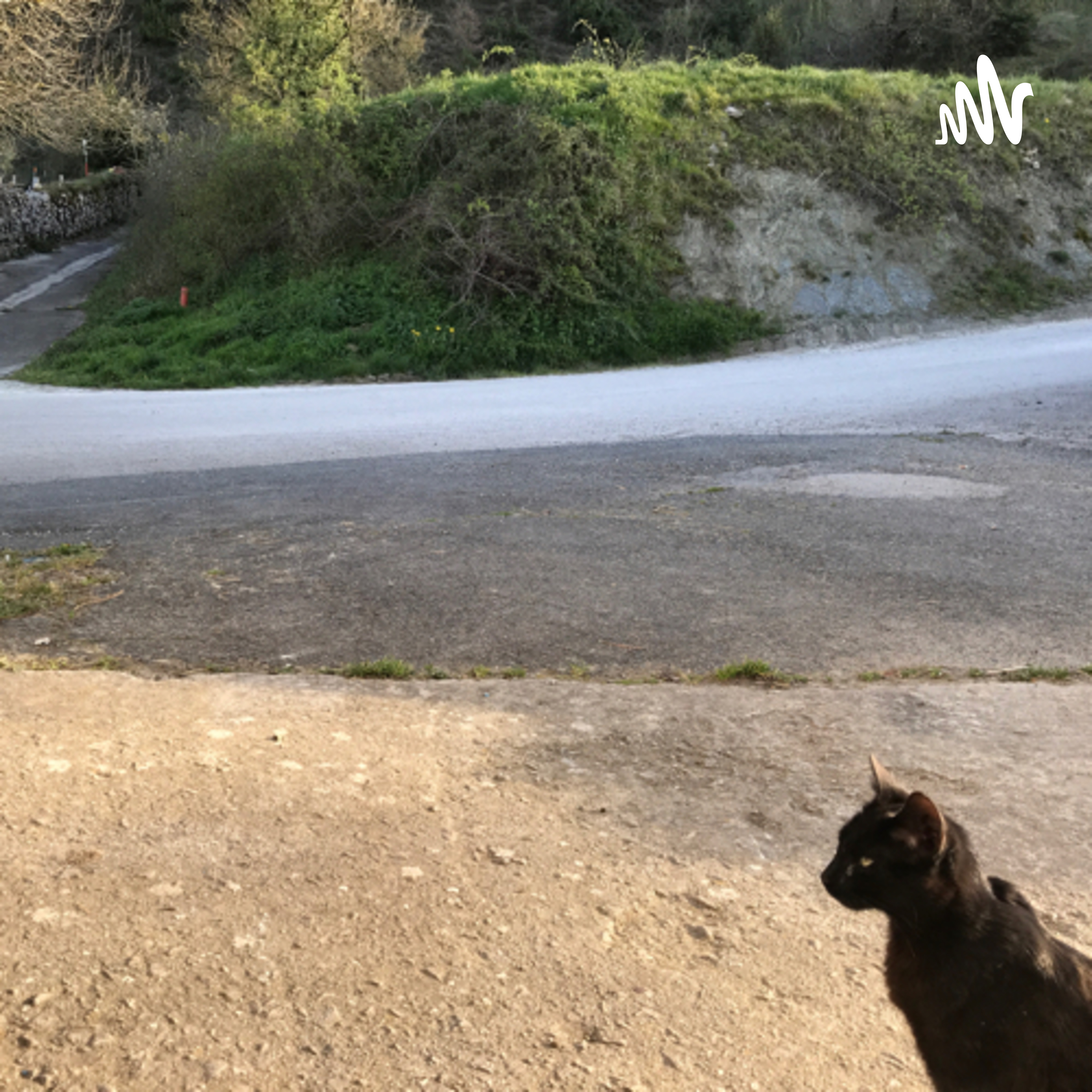 Animalien_eskubideak_Montse cover art