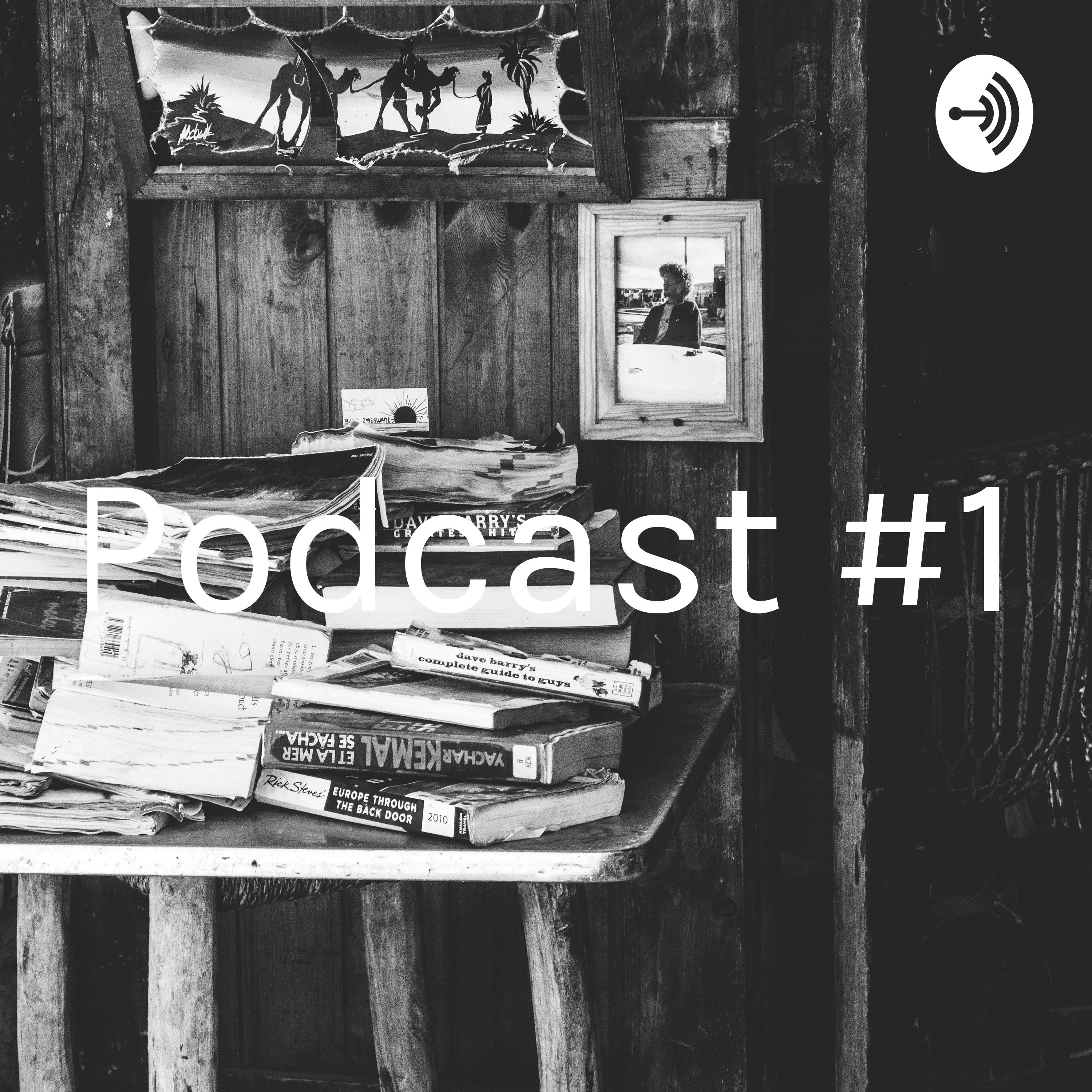 Podcast #1