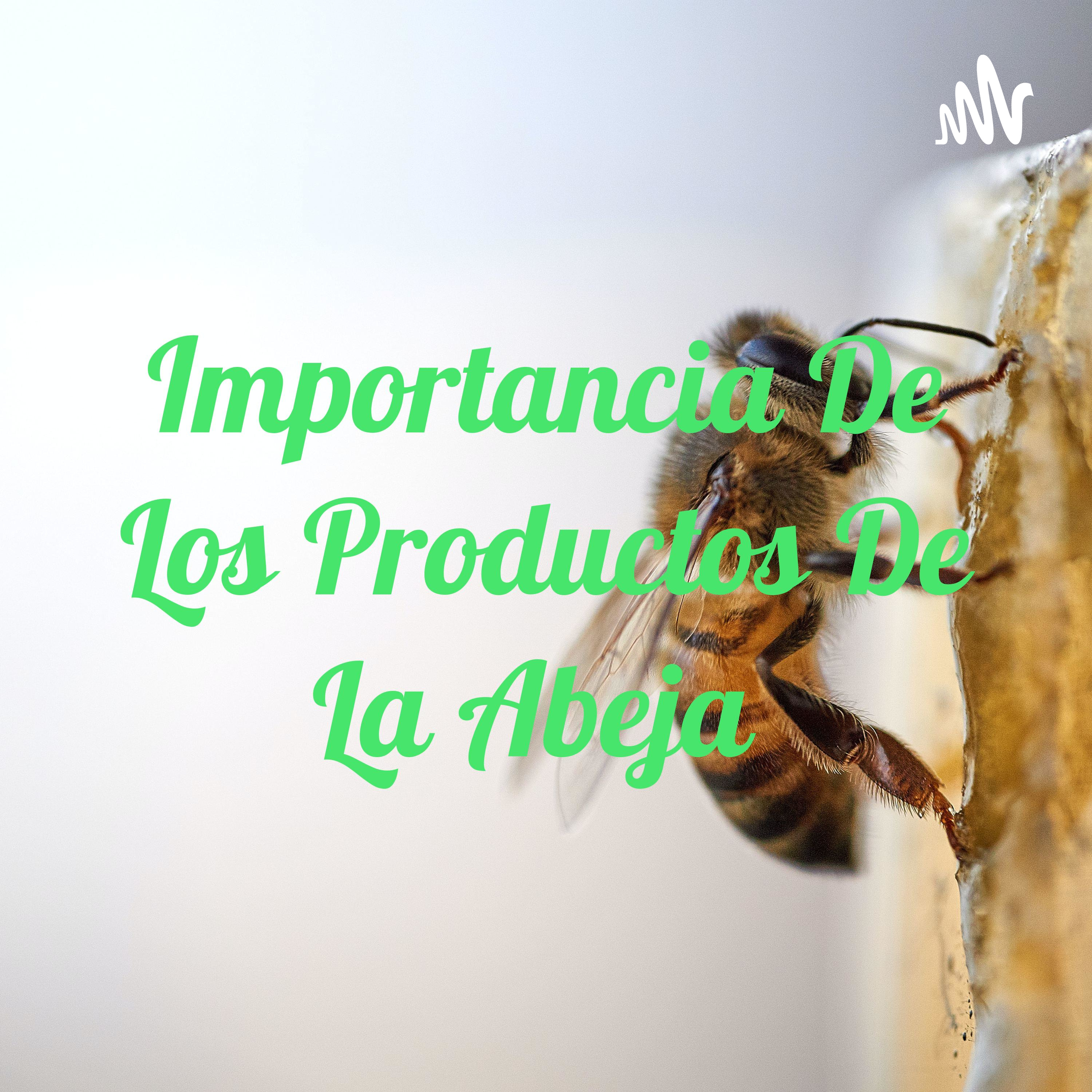 Importancia De Los Productos De La Abeja 🐝 cover art