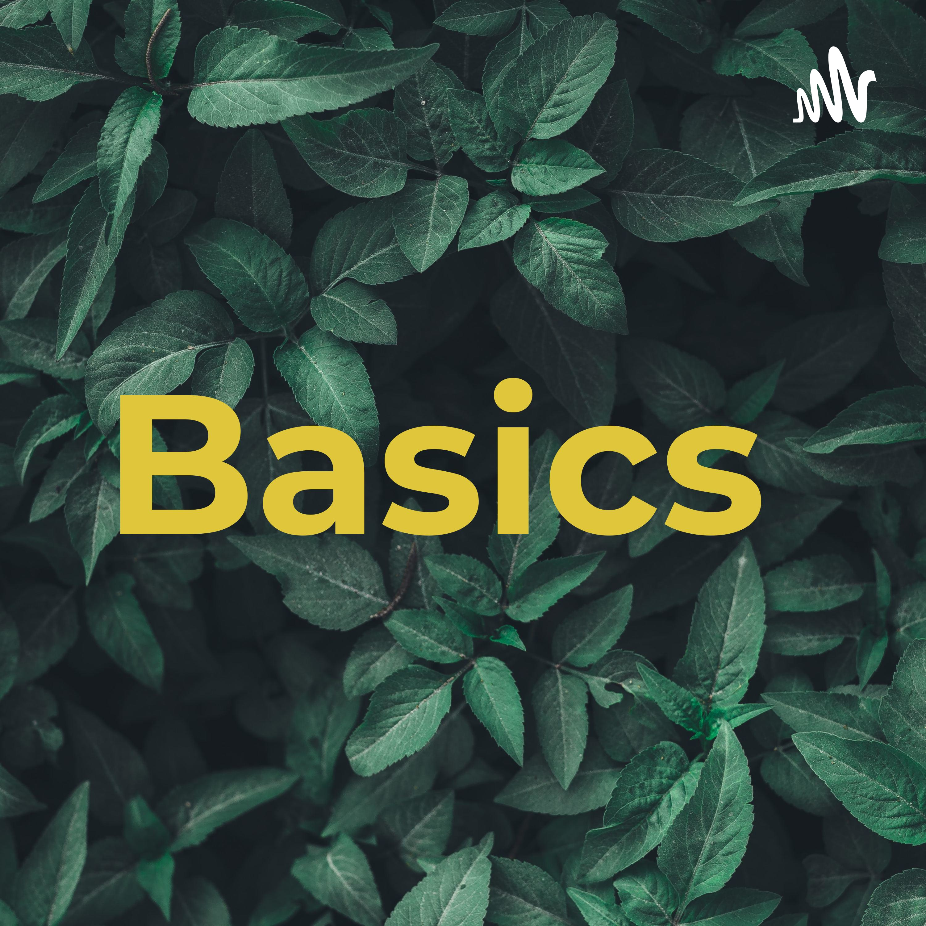Basics 