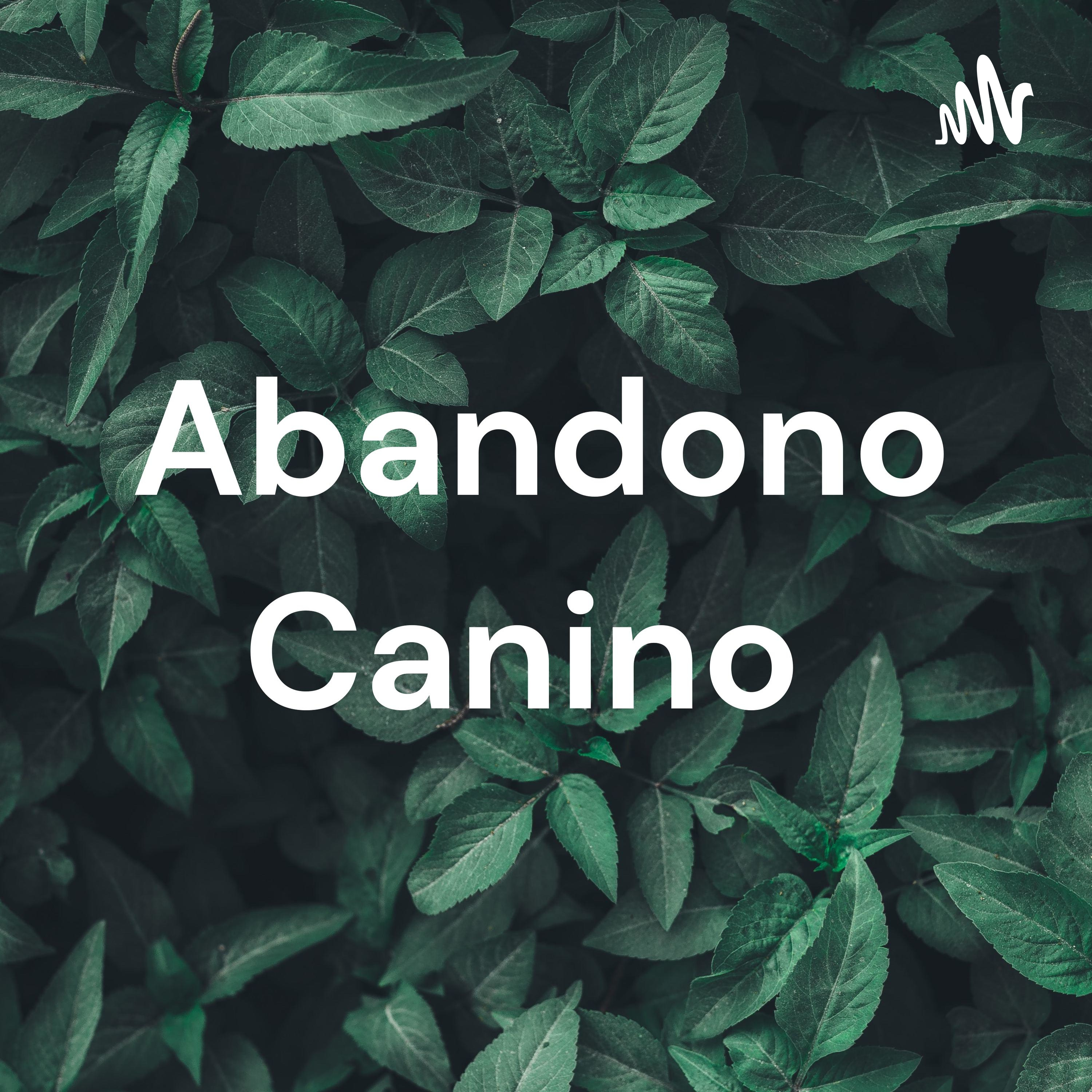 Abandono Canino cover