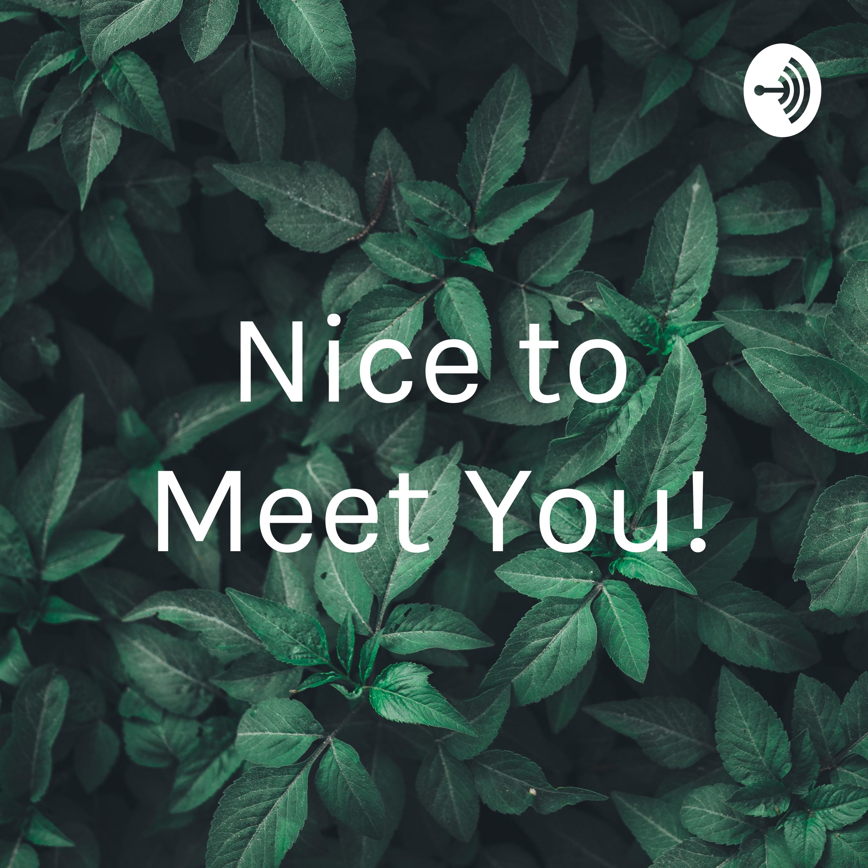 Nice to Meet You!