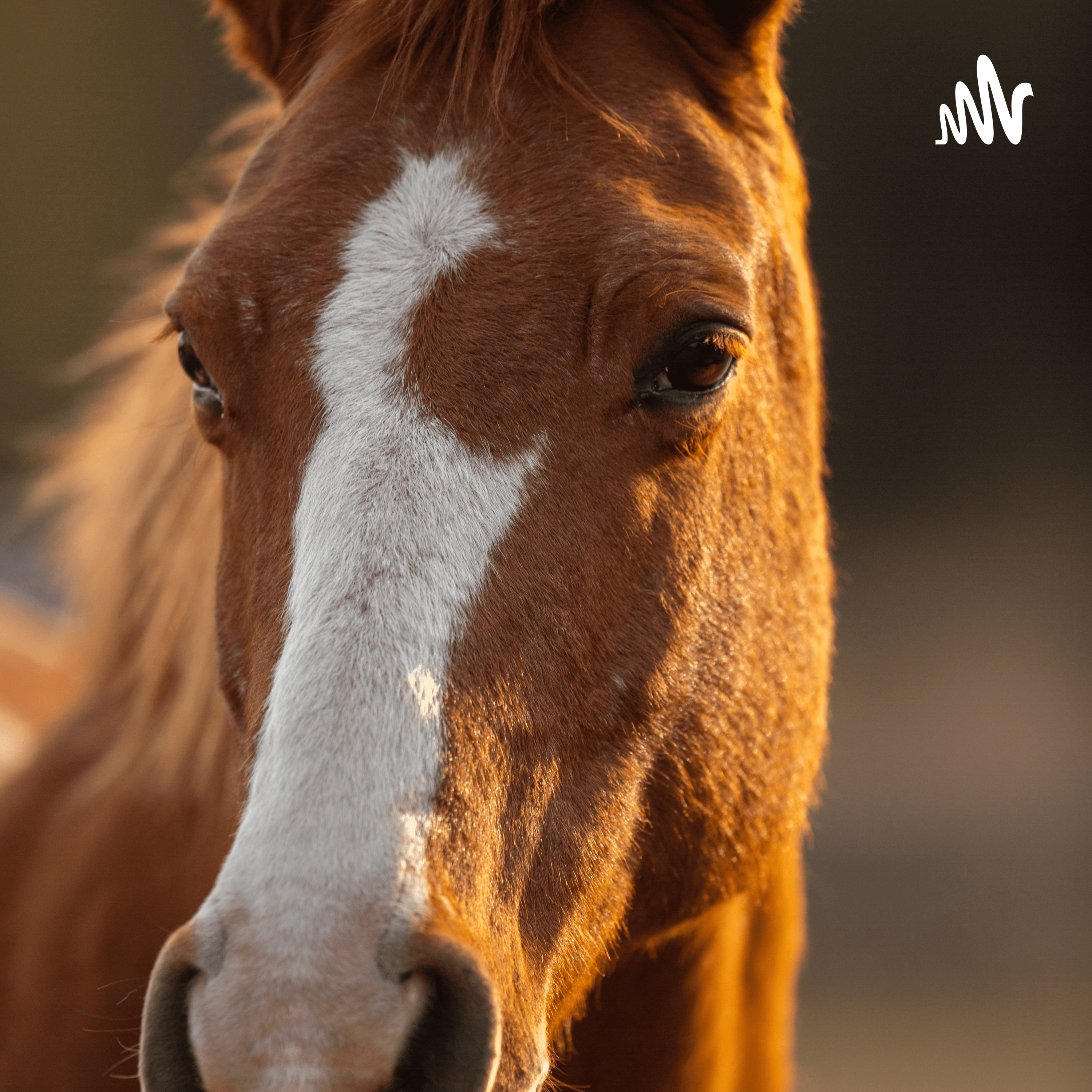 Horse Racing News