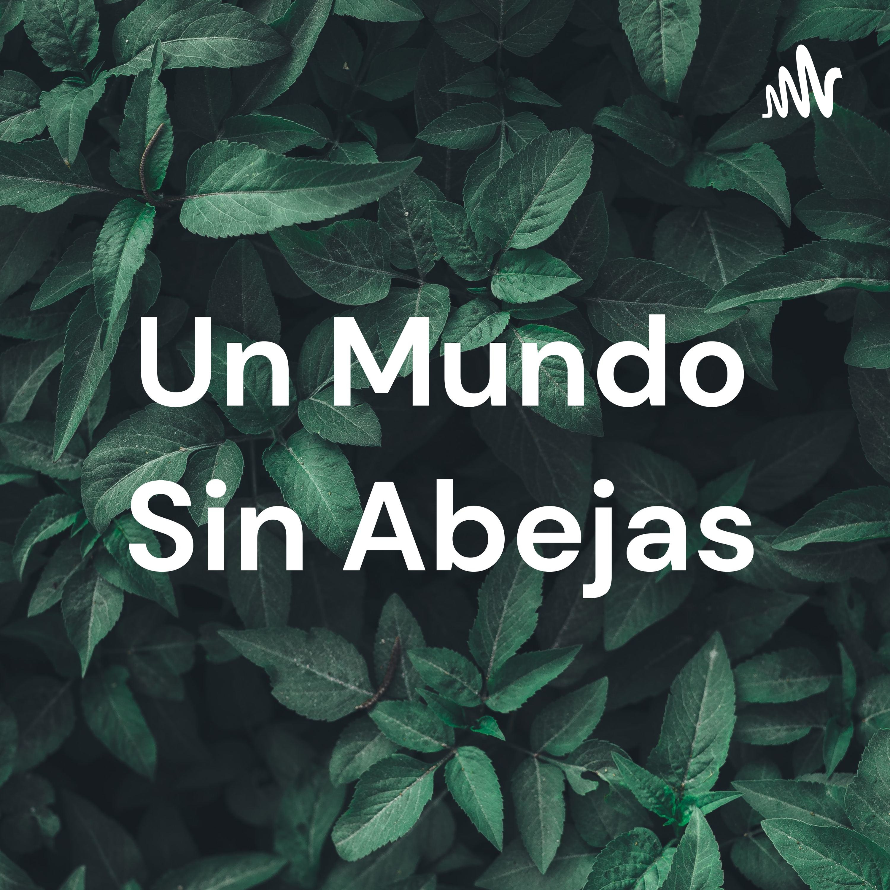 Un Mundo Sin Abejas