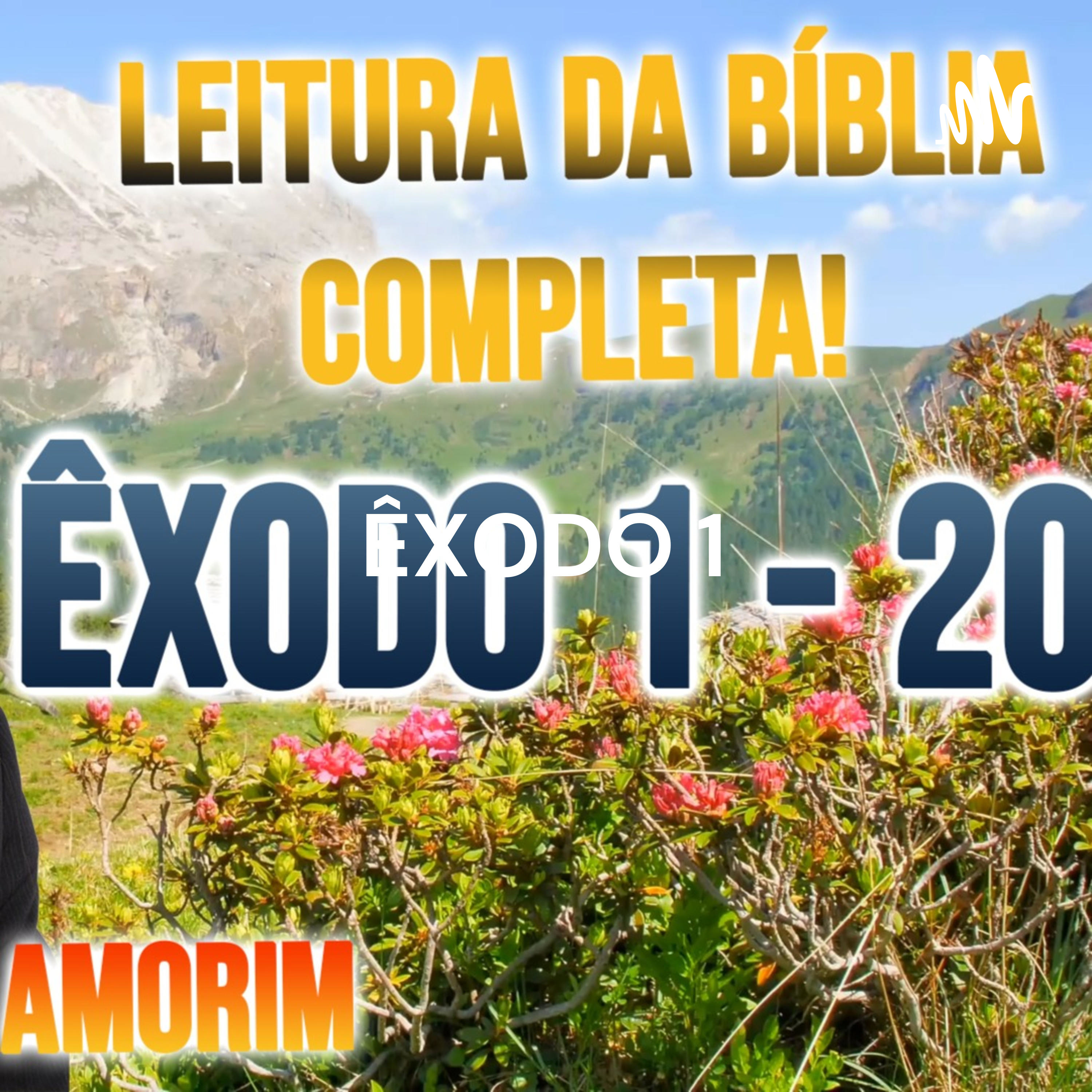 ÊXODO 1 - 20 | BÍBLIA EM AUDIO NVT | Pr. ROSANILDO AMORIM