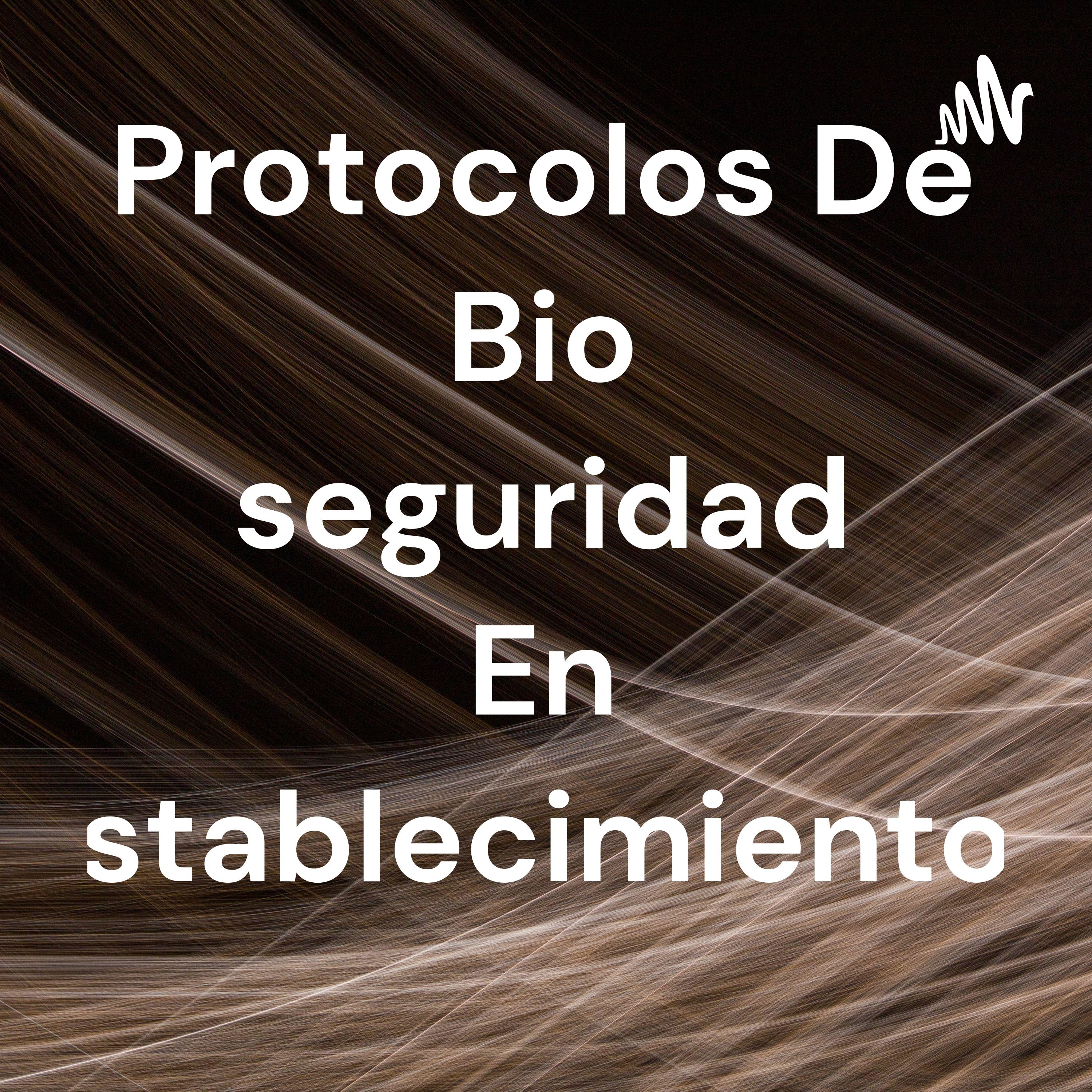 Protocolos De Bio seguridad En Establecimientos cover art
