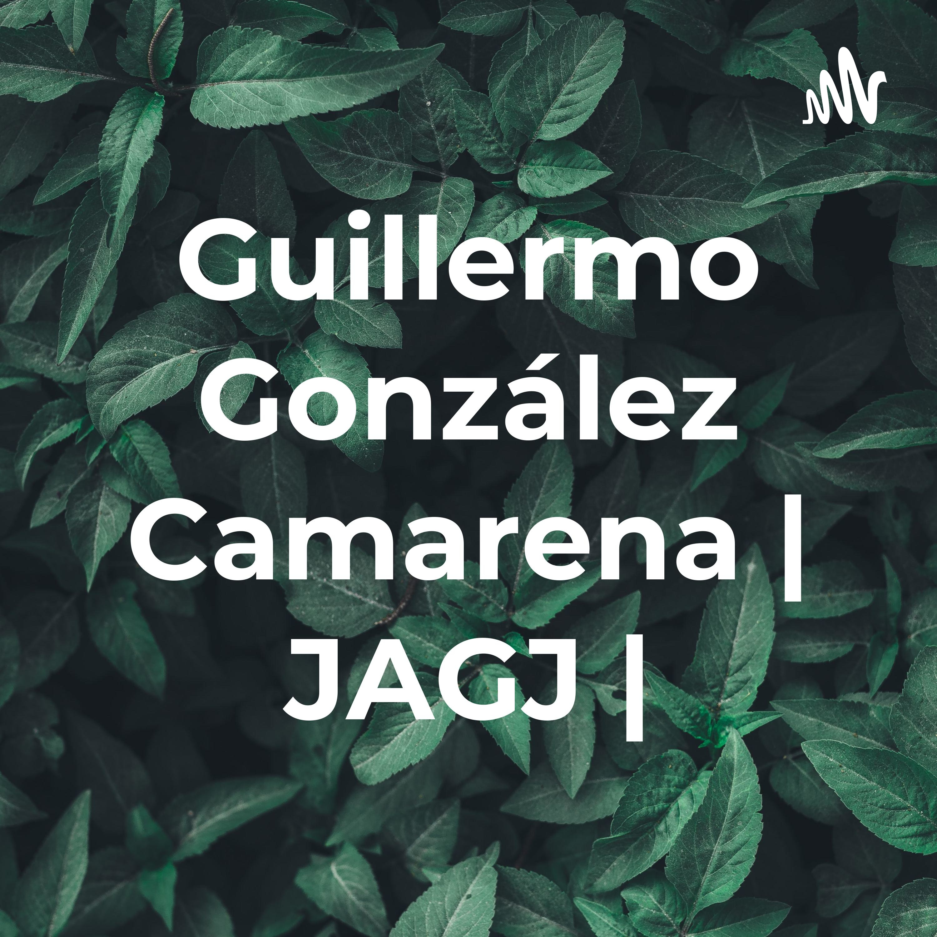 Guillermo González Camarena | JAGJ | cover art