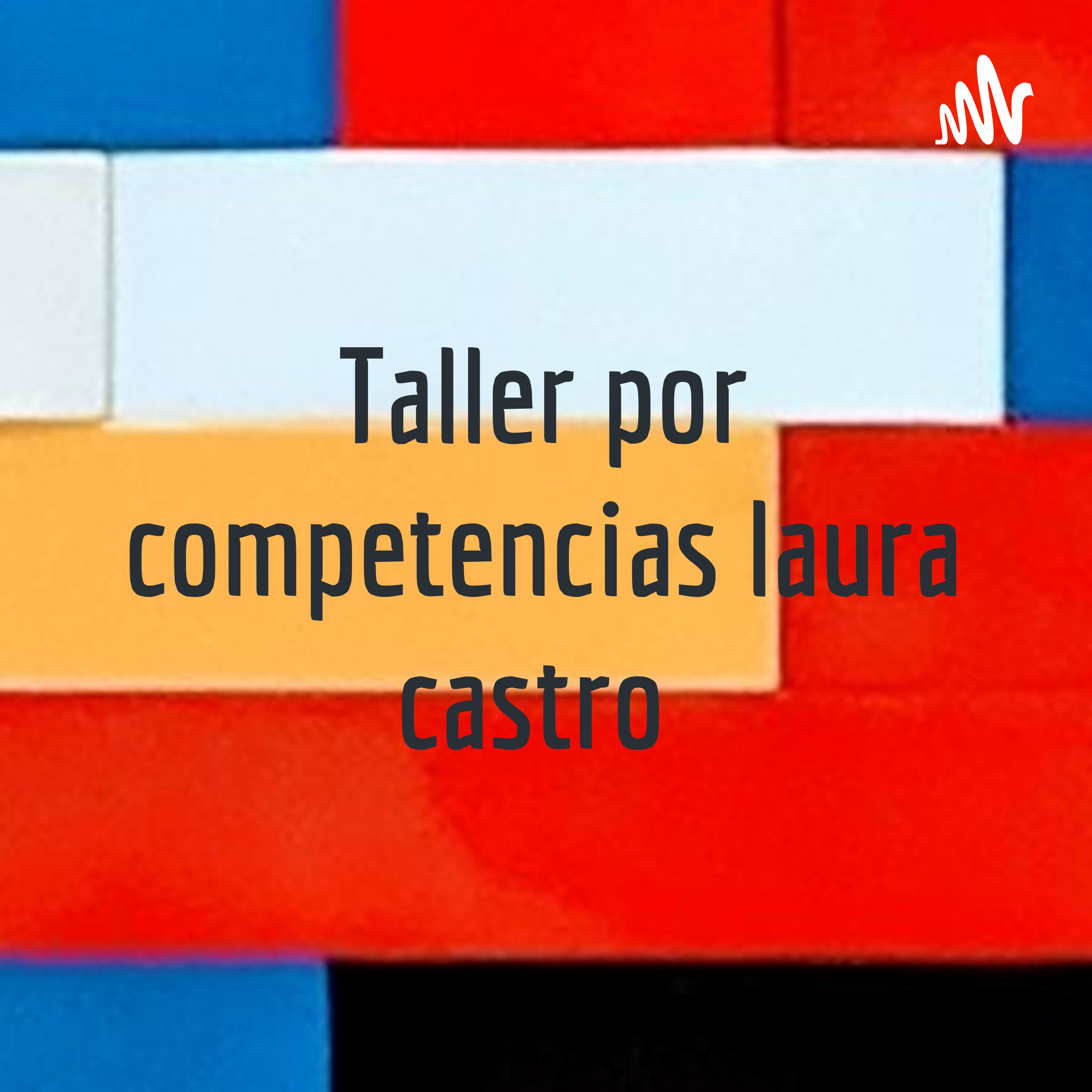Taller por competencias laura castro