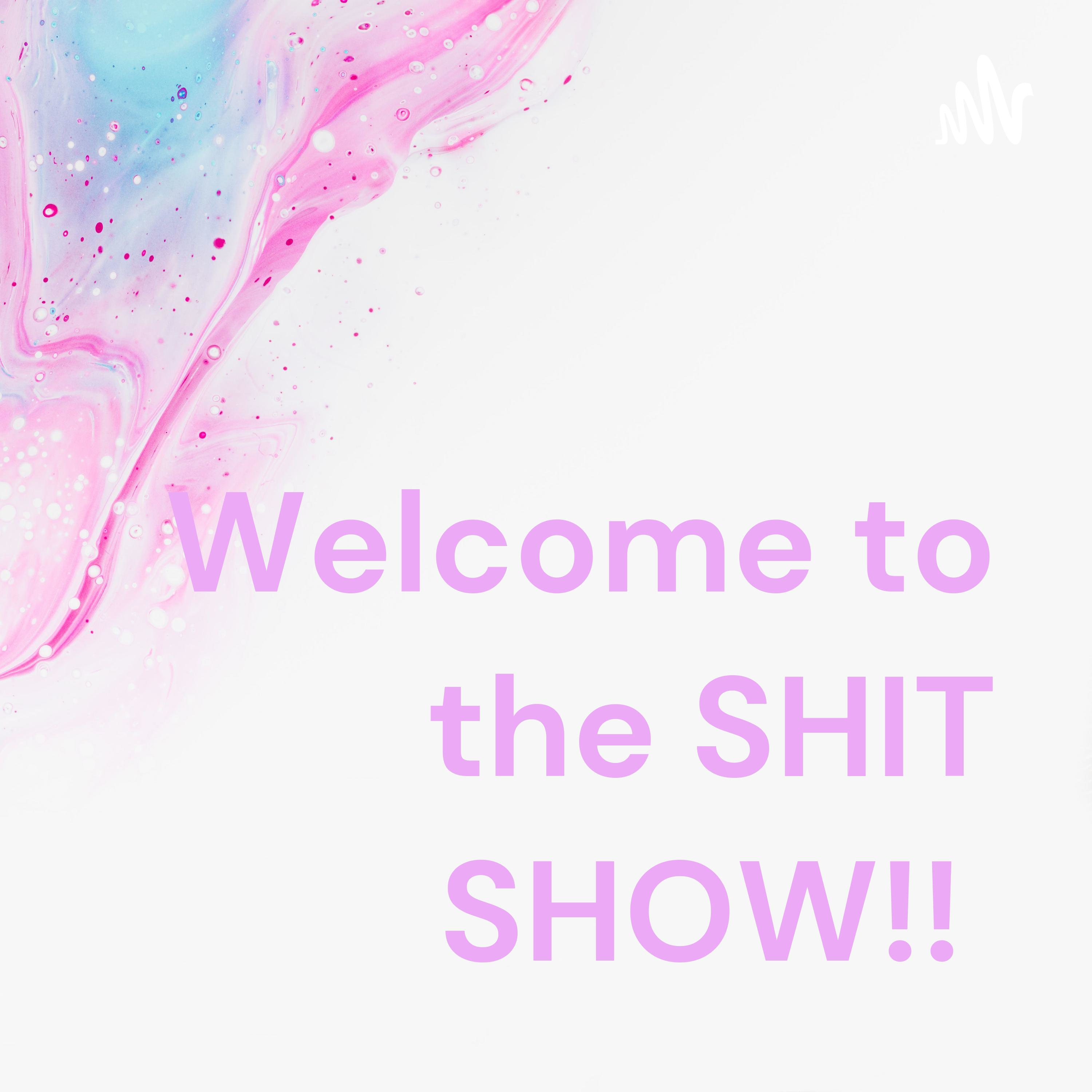 Welcome to the SINGLE MOM SHIT SHOW!! cover art