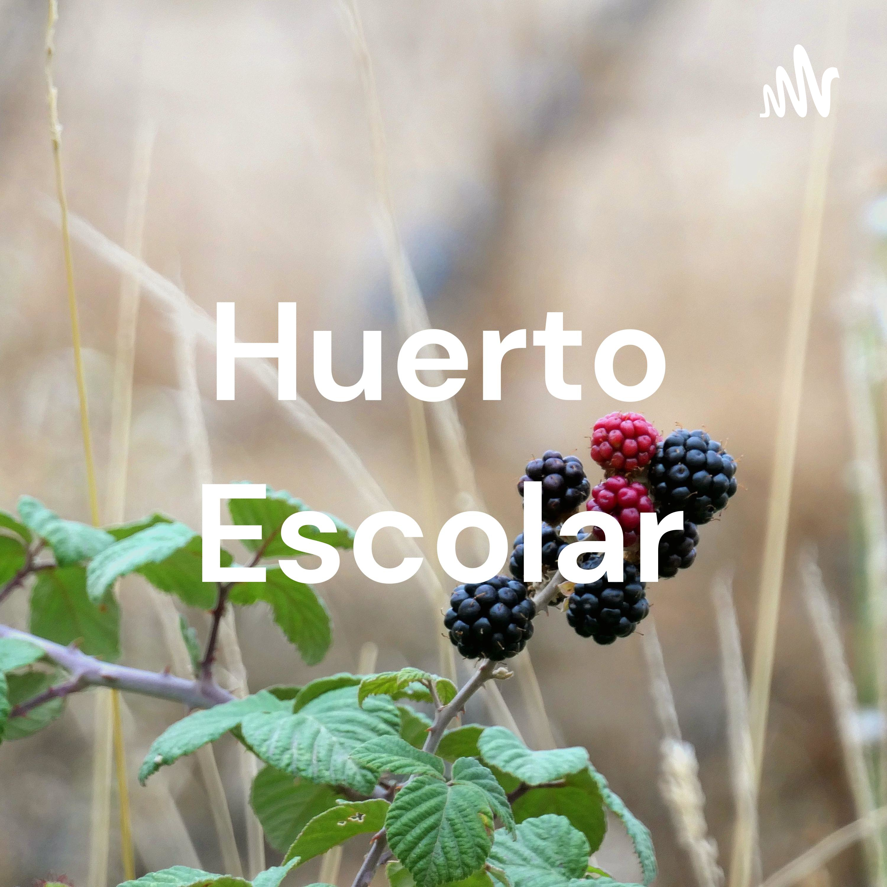 Huerto Escolar