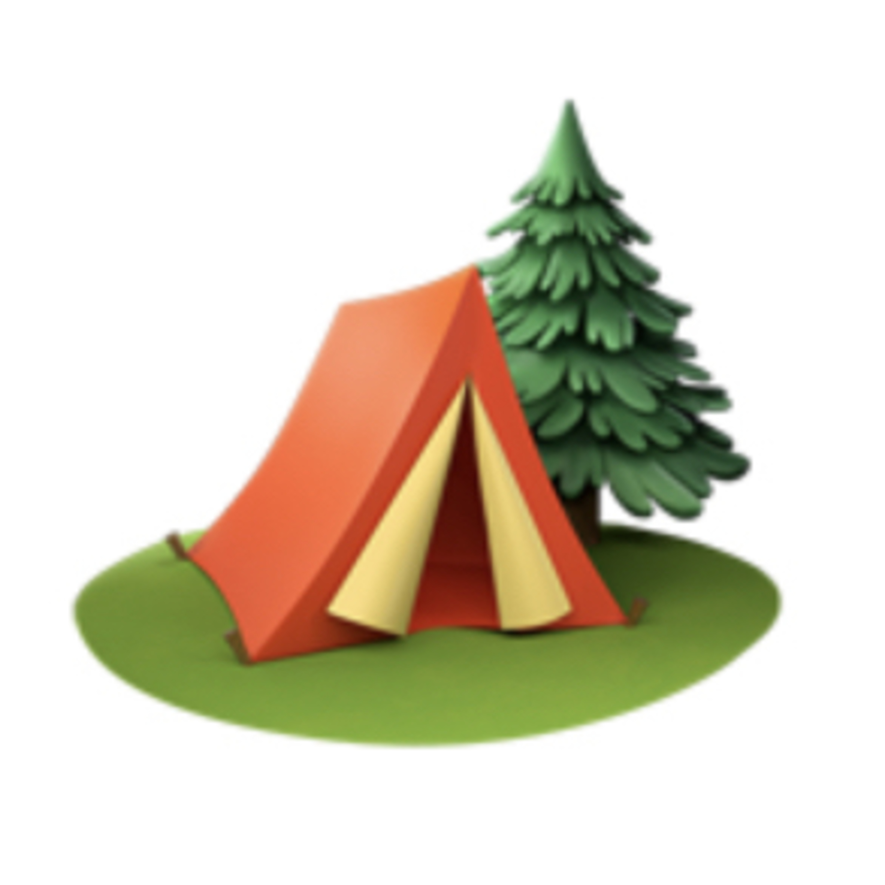 The camp experience