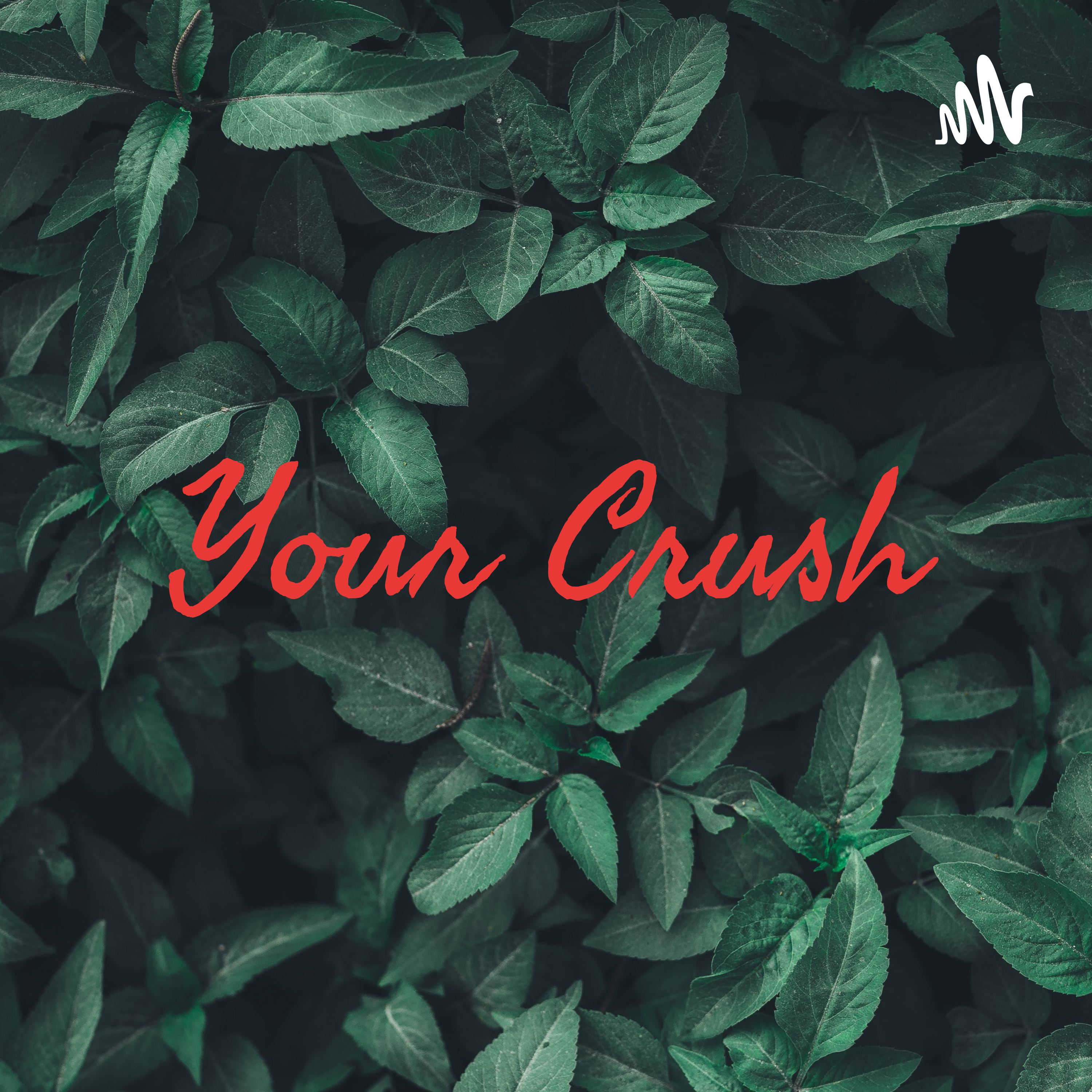 Your Crush💜