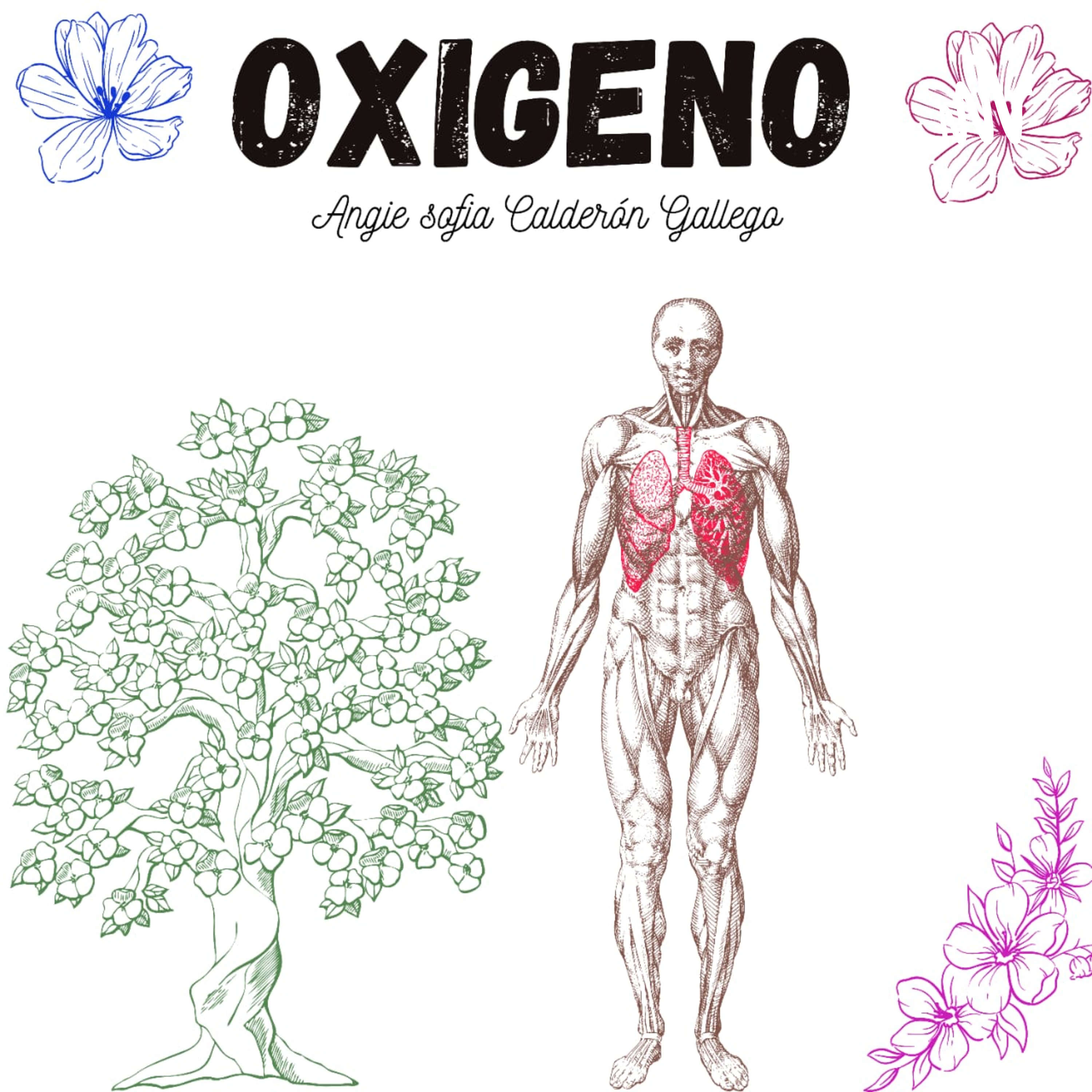 Oxigeno cover art