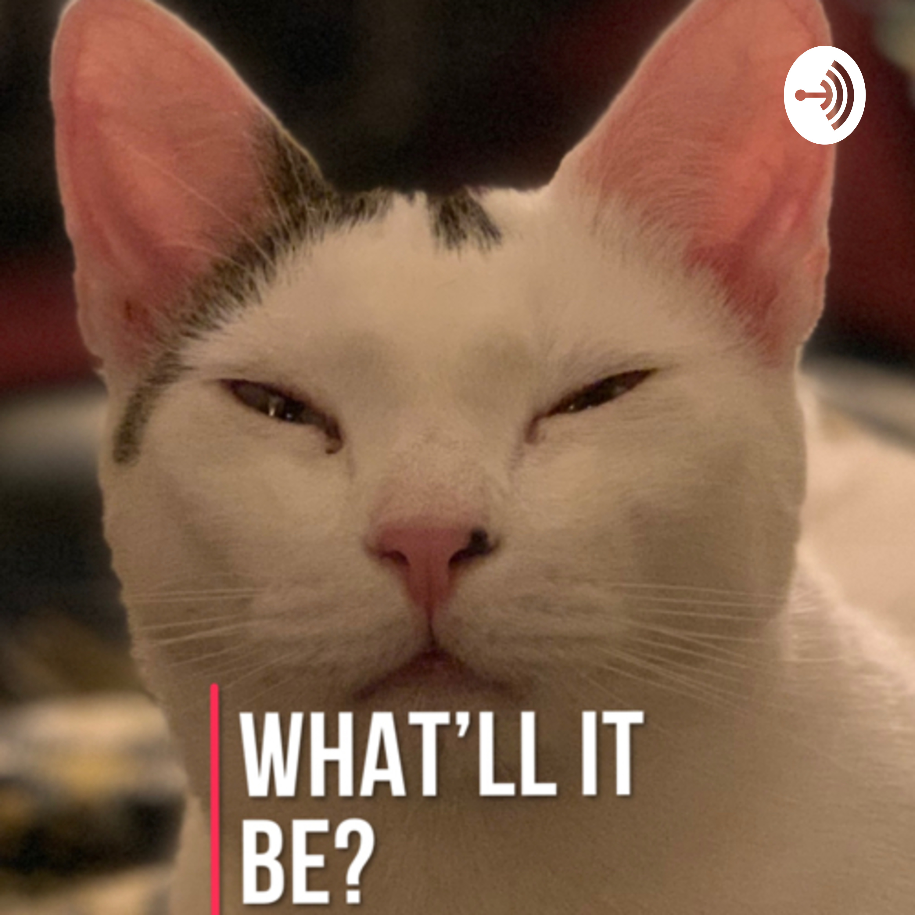 What’ll It Be?