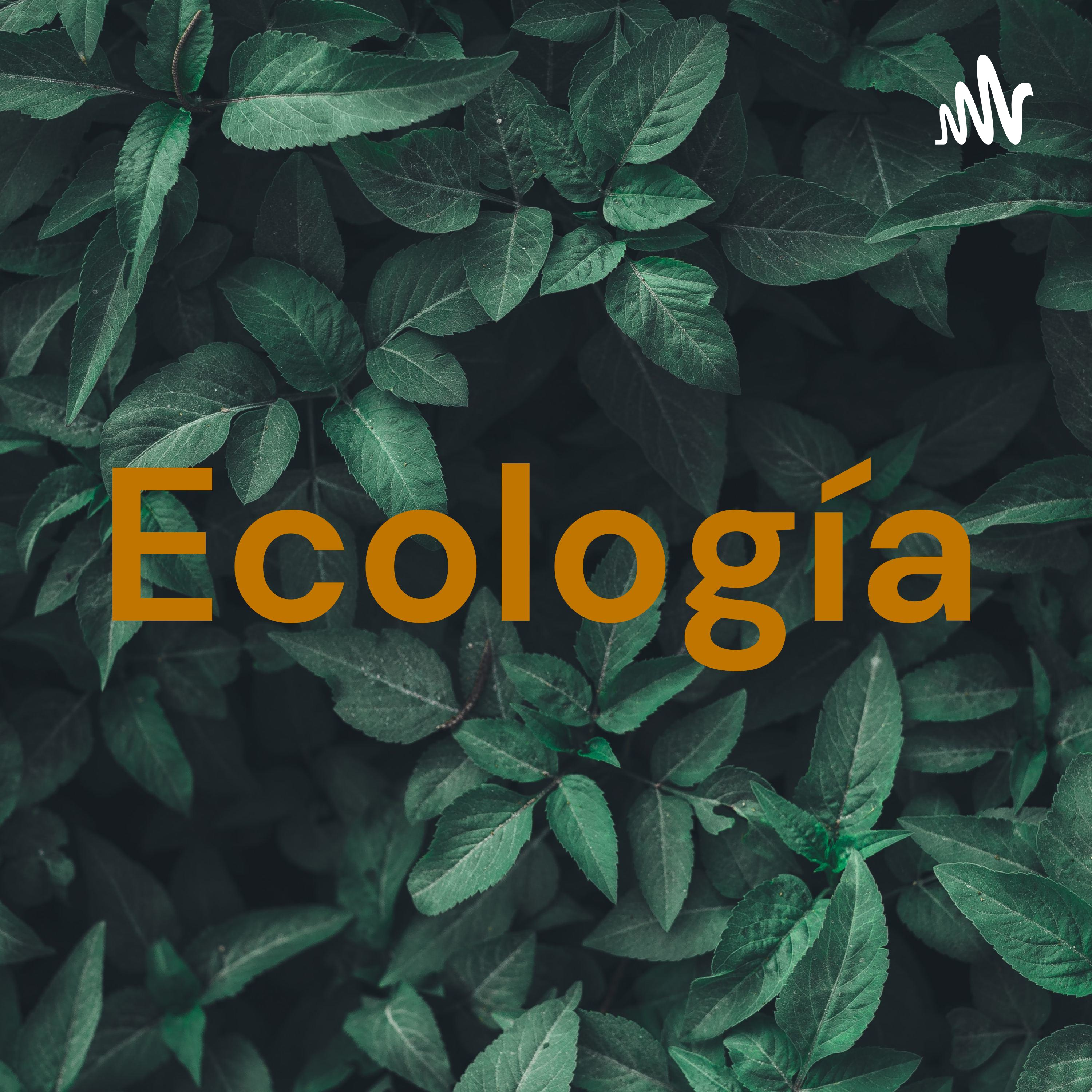 Ecología