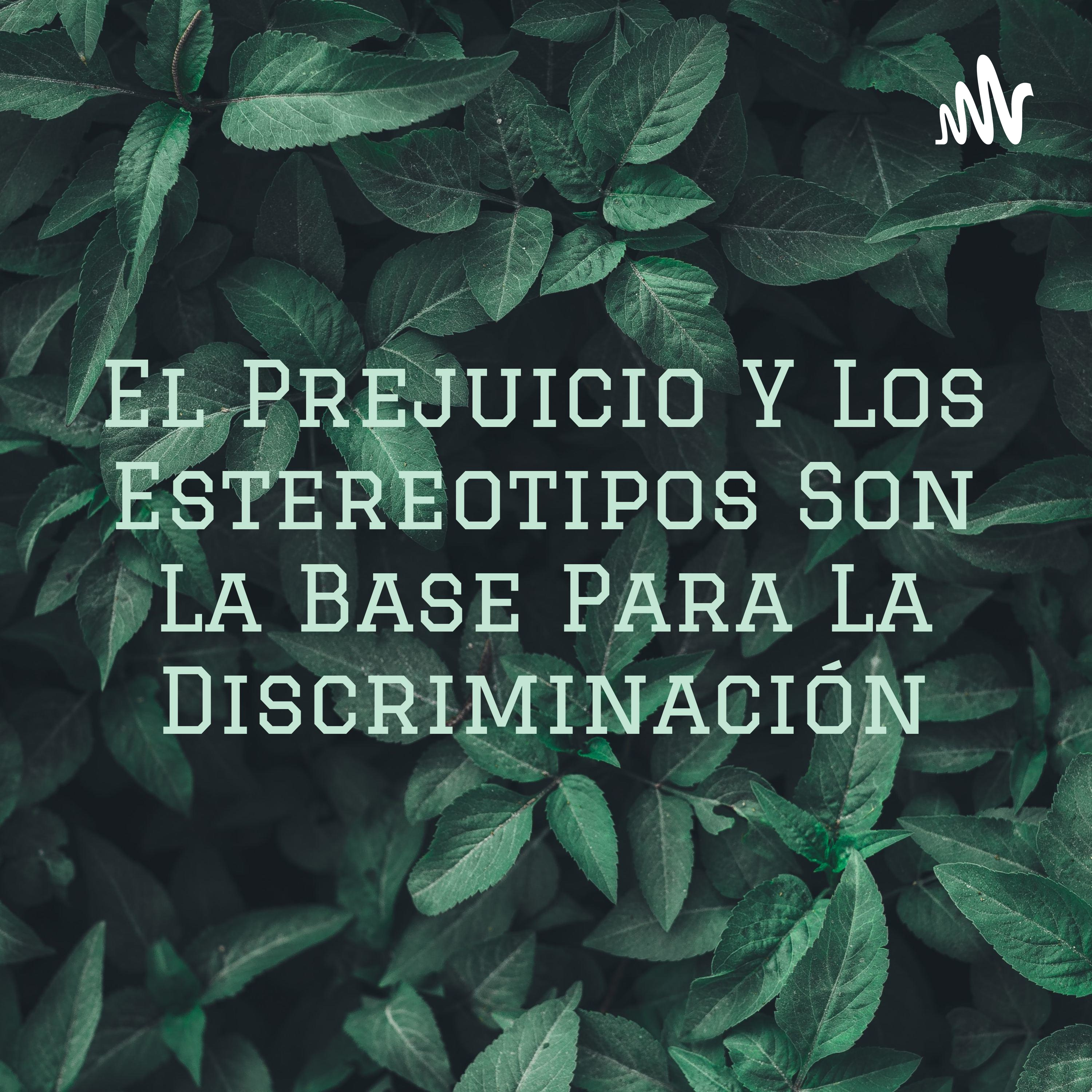 El Prejuicio Y Los Estereotipos Son La Base Para La Discriminación cover art