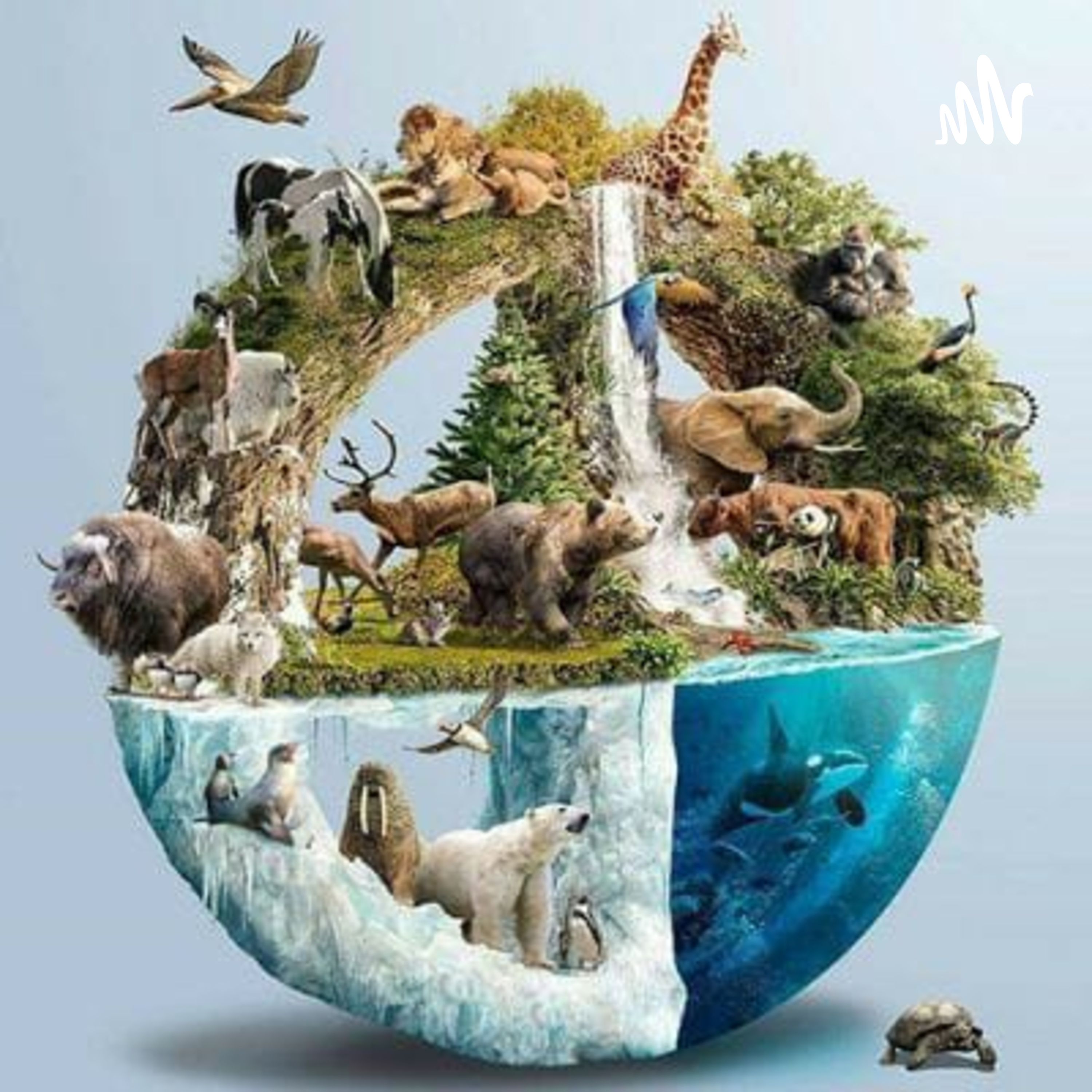 ANIMALES EN PELIGRO DE EXTINCIÓN