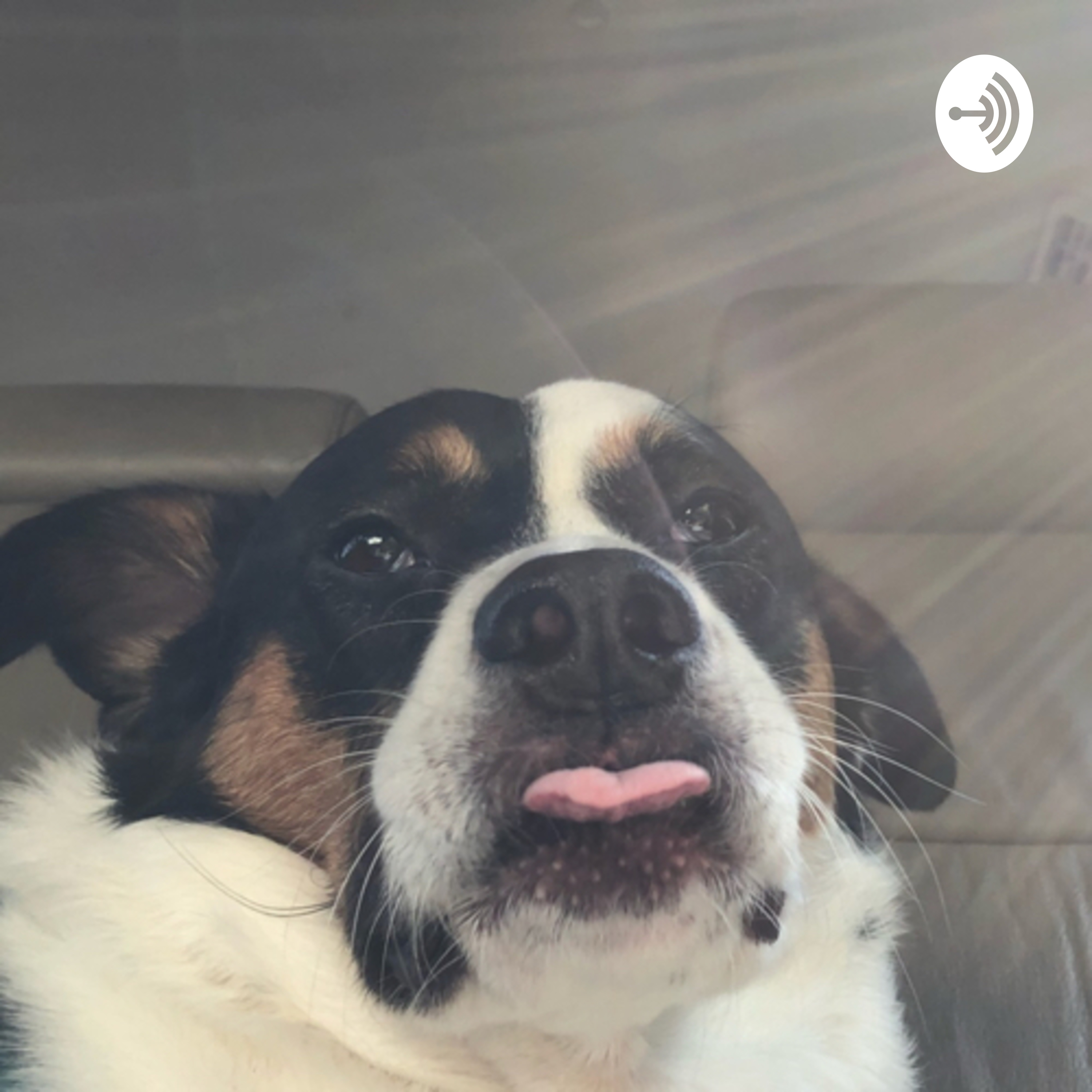 A.B... Cece’s Talk Time