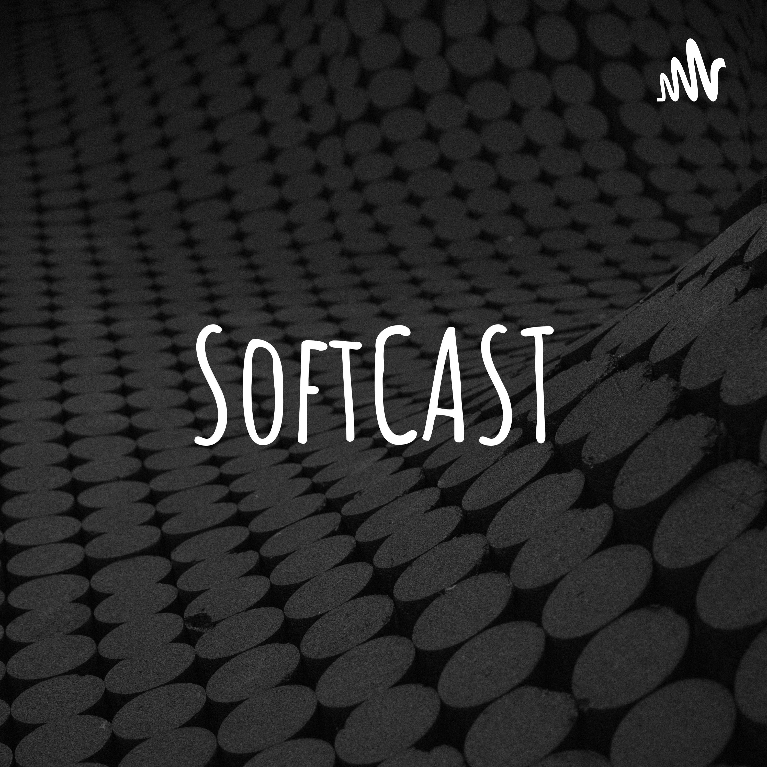SoftCAST