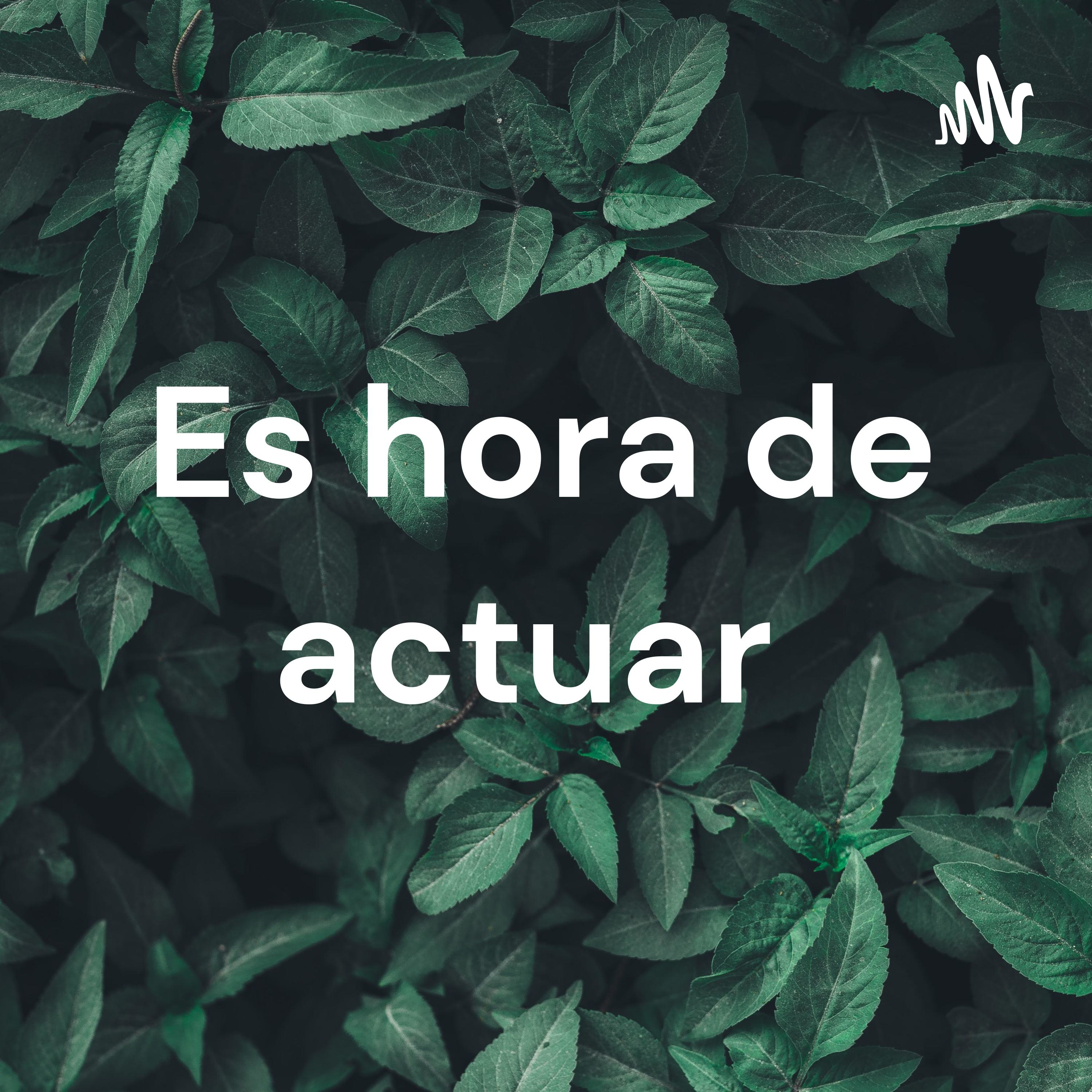 Es hora de actuar cover art