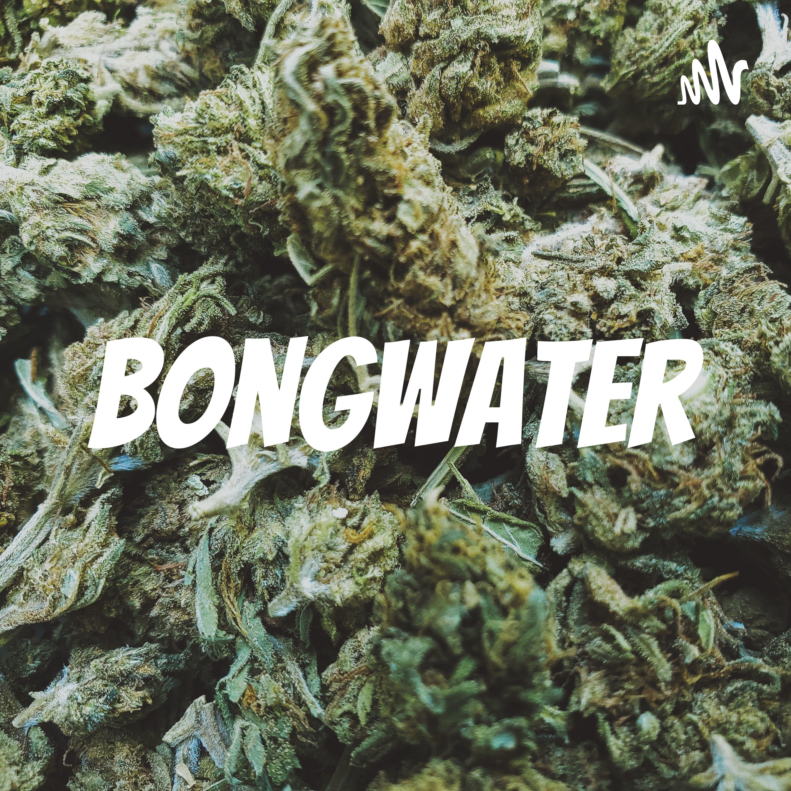 Bongwater podcast artwork
